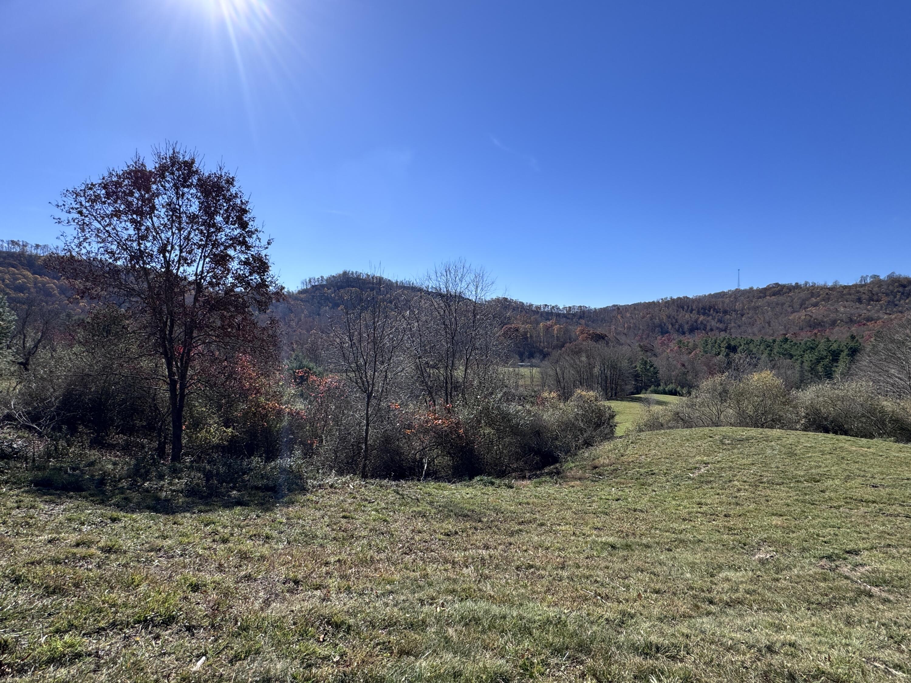 Cold Hollow Rd, Rainelle, West Virginia image 9