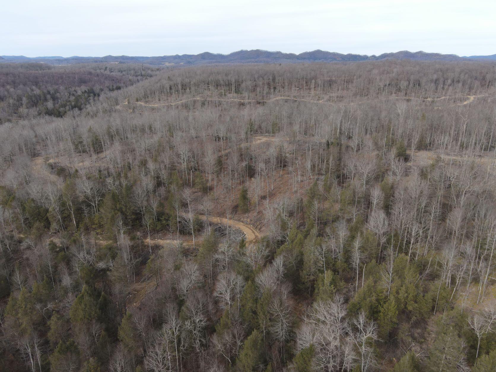 Ward Rd & Trimble Rd, Nettie, West Virginia image 1