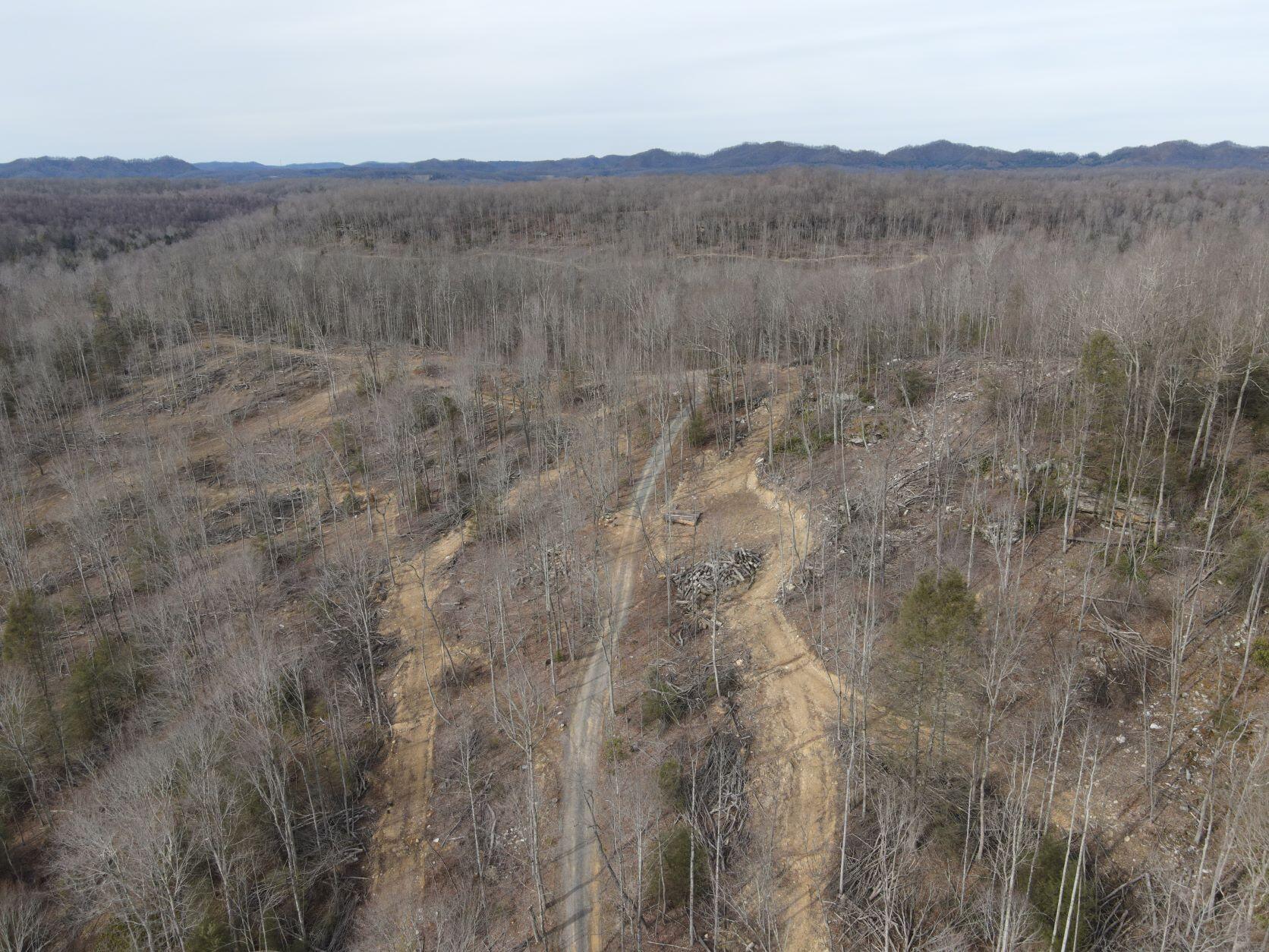 Ward Rd & Trimble Rd, Nettie, West Virginia image 25