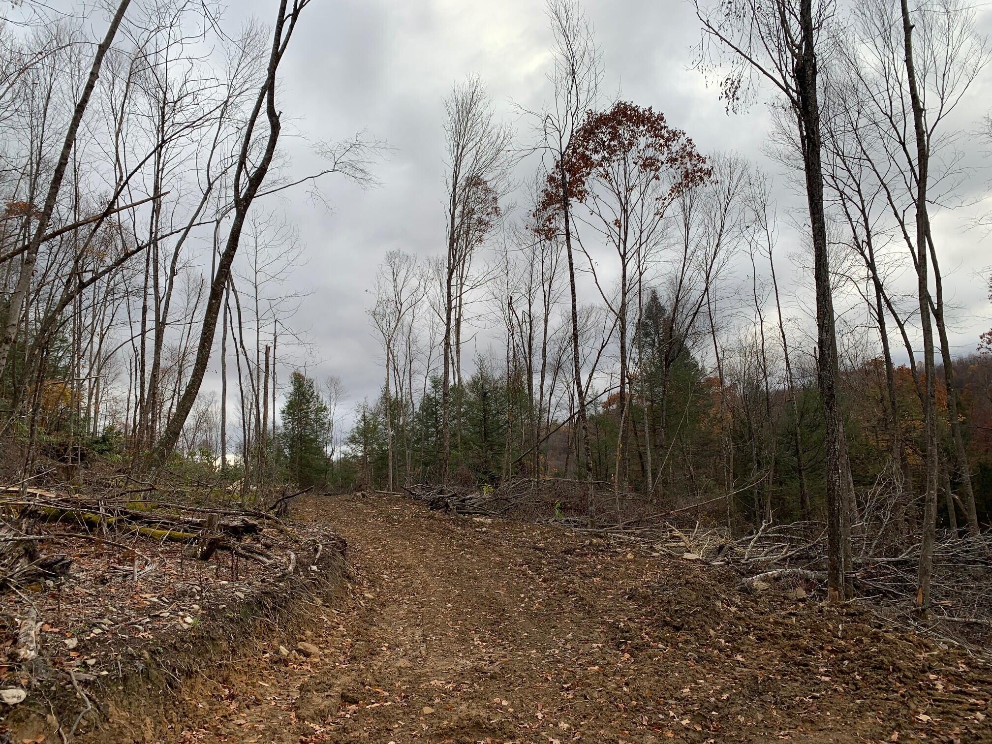 Ward Rd & Trimble Rd, Nettie, West Virginia image 18