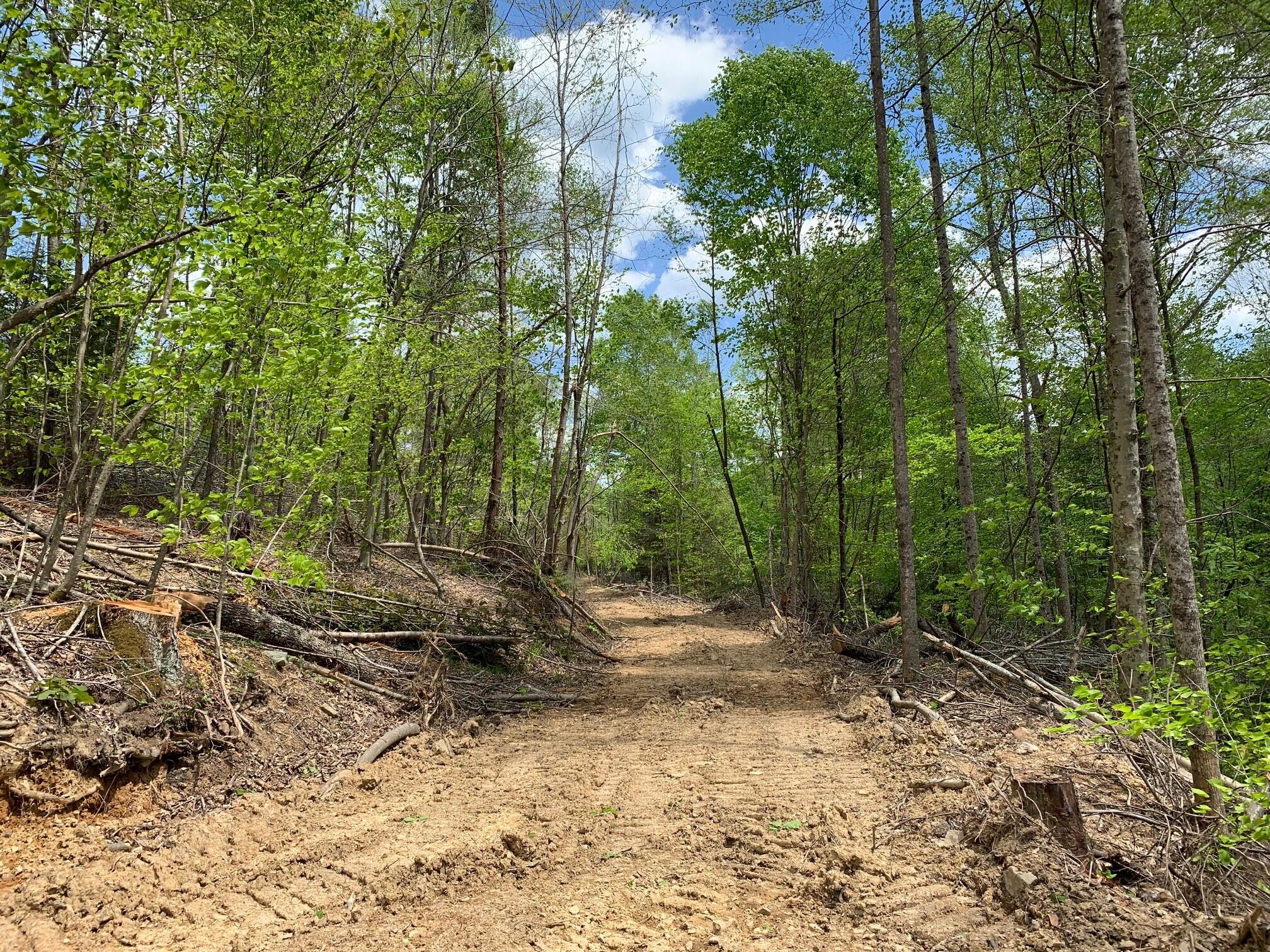 Ward Rd & Trimble Rd, Nettie, West Virginia image 12