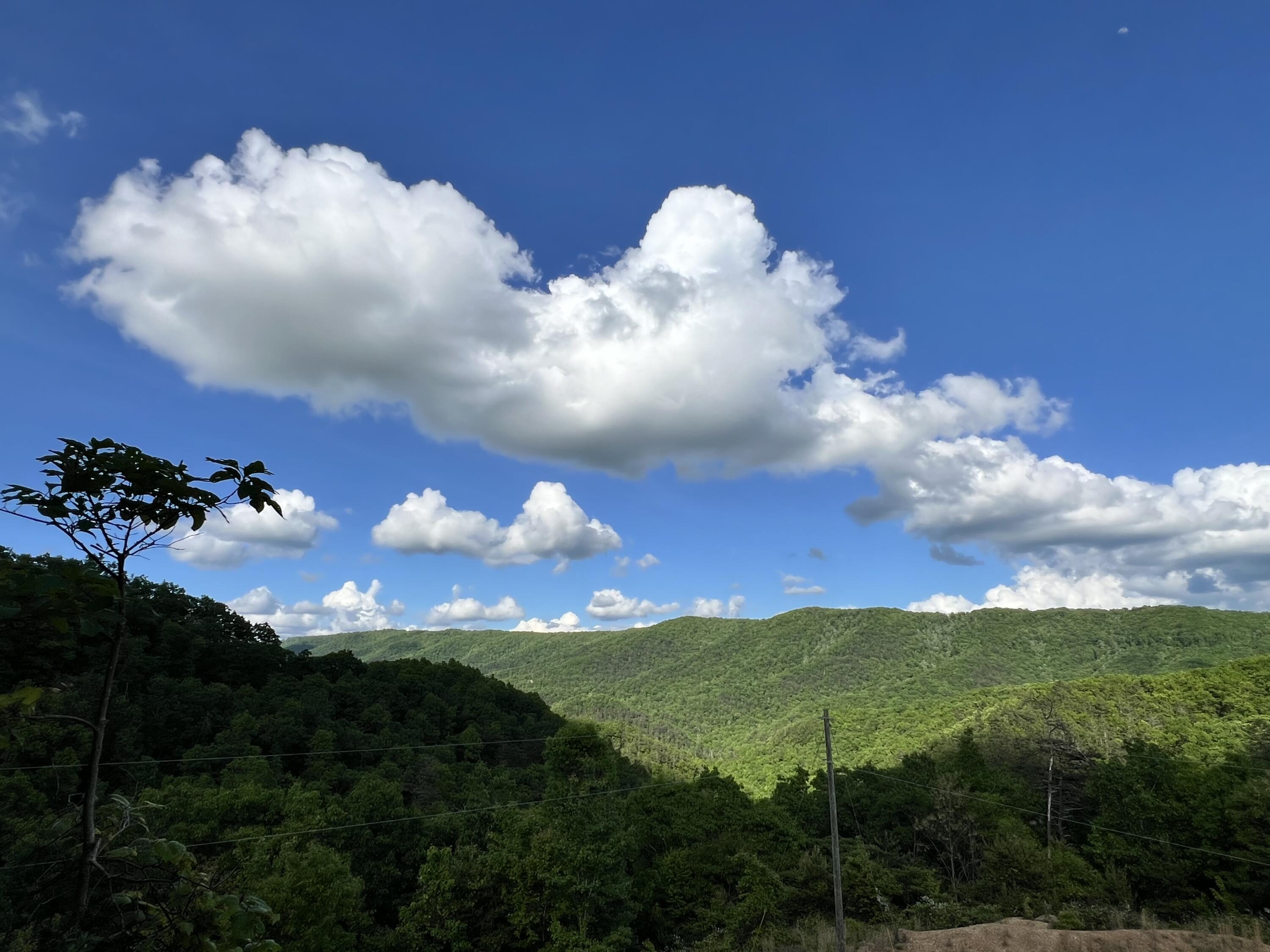 Lot 87 Lovely Day Dr #87, Caldwell, West Virginia image 12