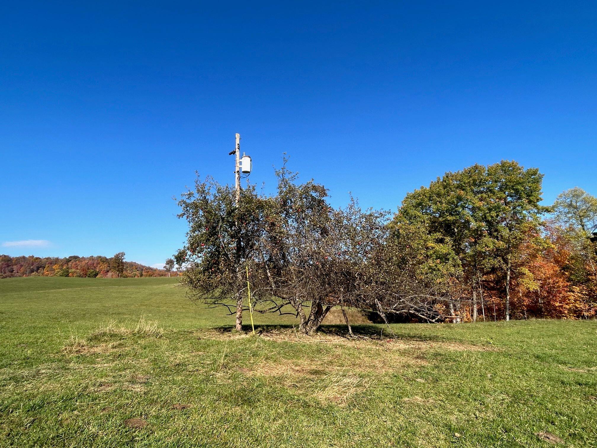 Tract C Judson Rd, Hinton, West Virginia image 33