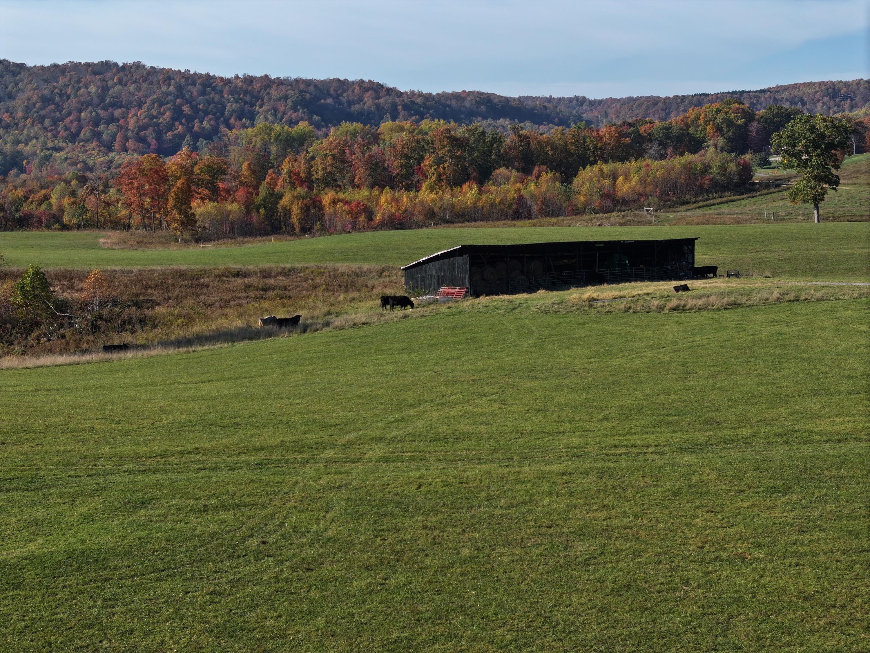 Tract C Judson Rd, Hinton, West Virginia image 6