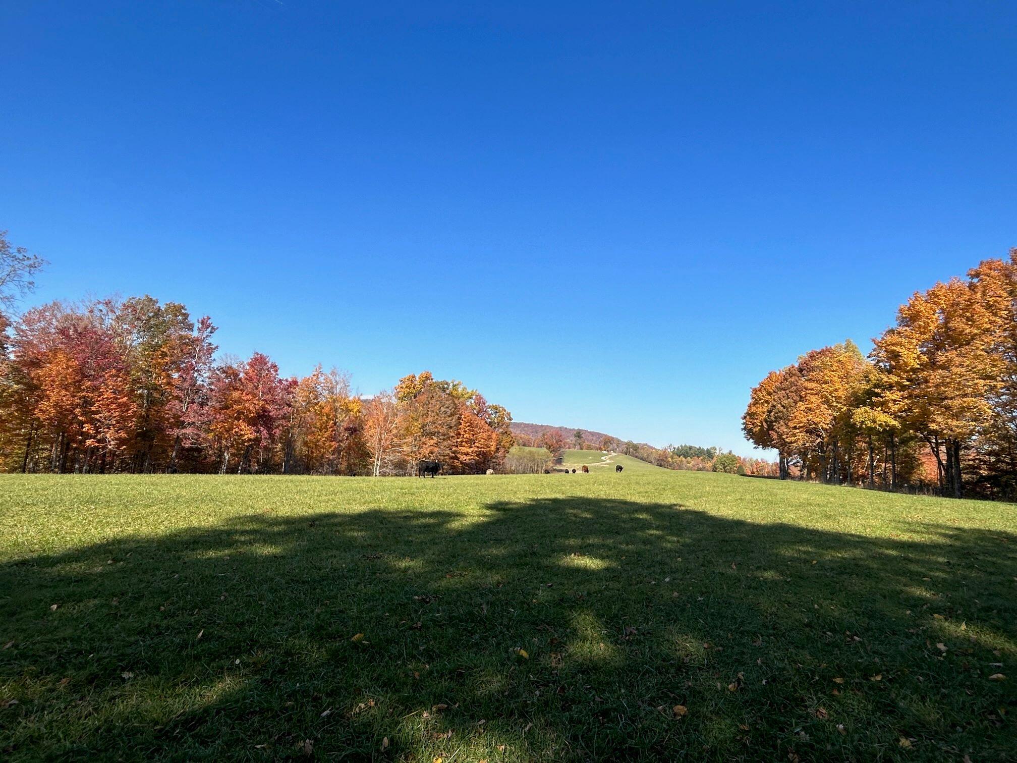 Tract C Judson Rd, Hinton, West Virginia image 31