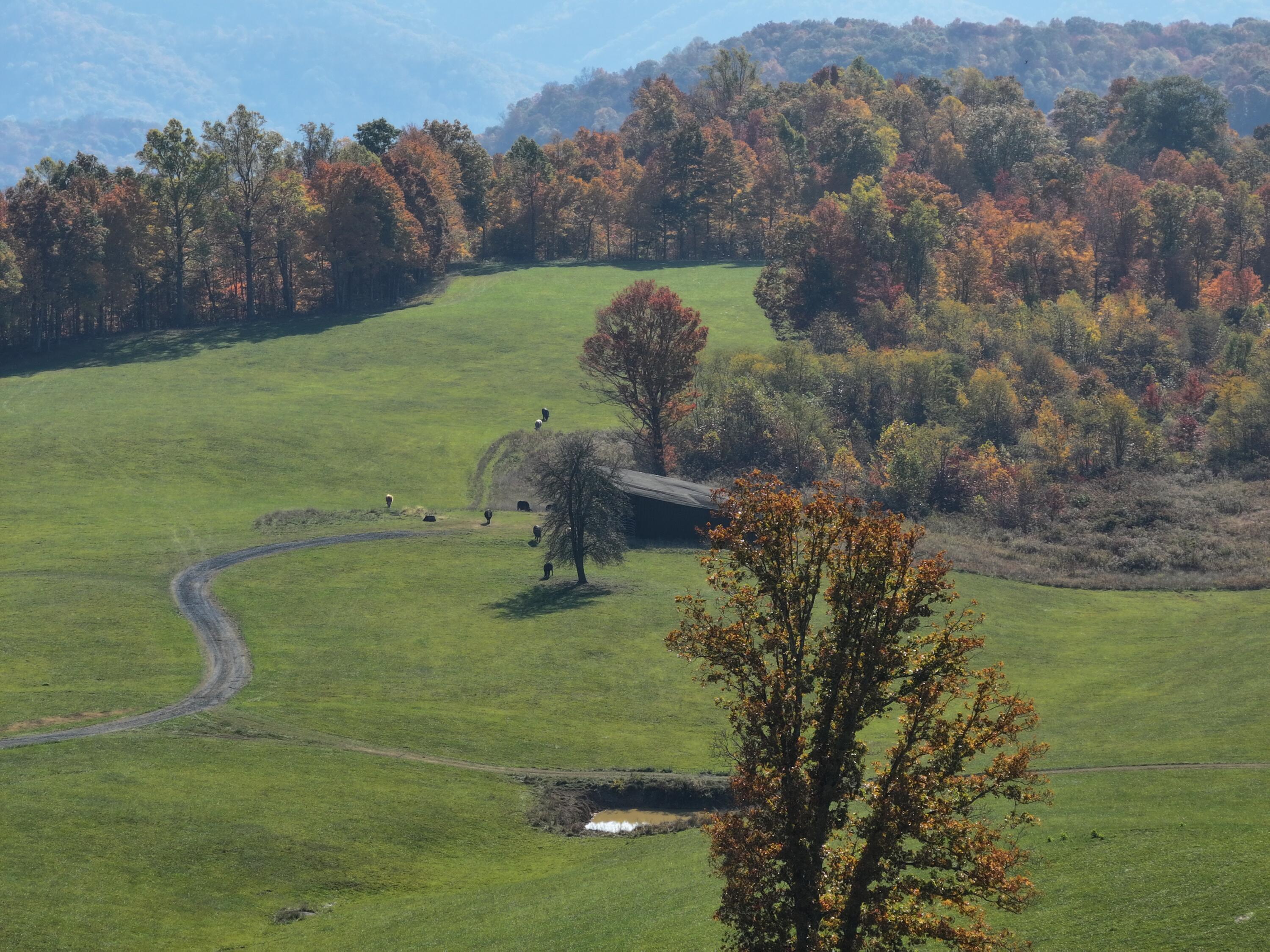 Tract C Judson Rd, Hinton, West Virginia image 2