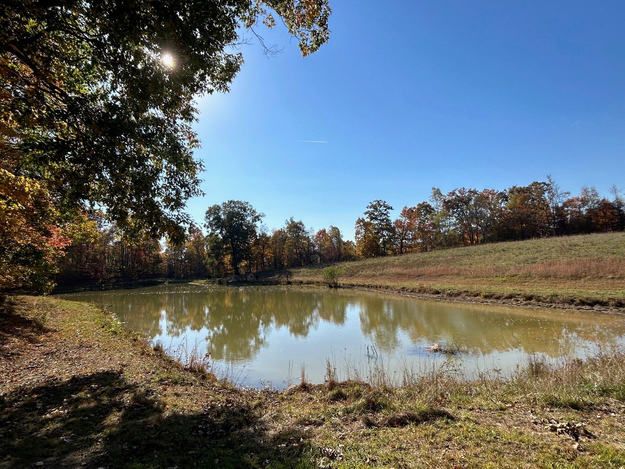 Tract C Judson Rd, Hinton, West Virginia image 16