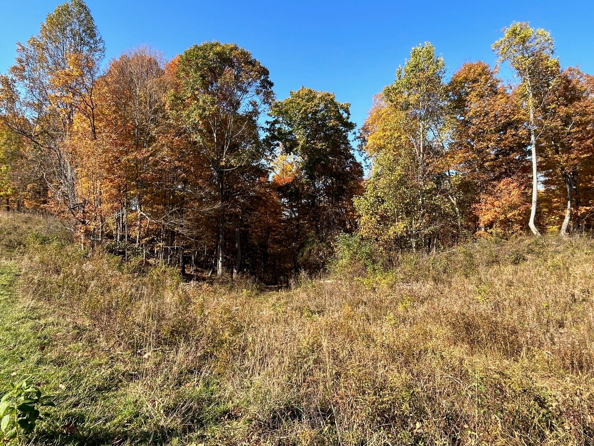 Tract C Judson Rd, Hinton, West Virginia image 37