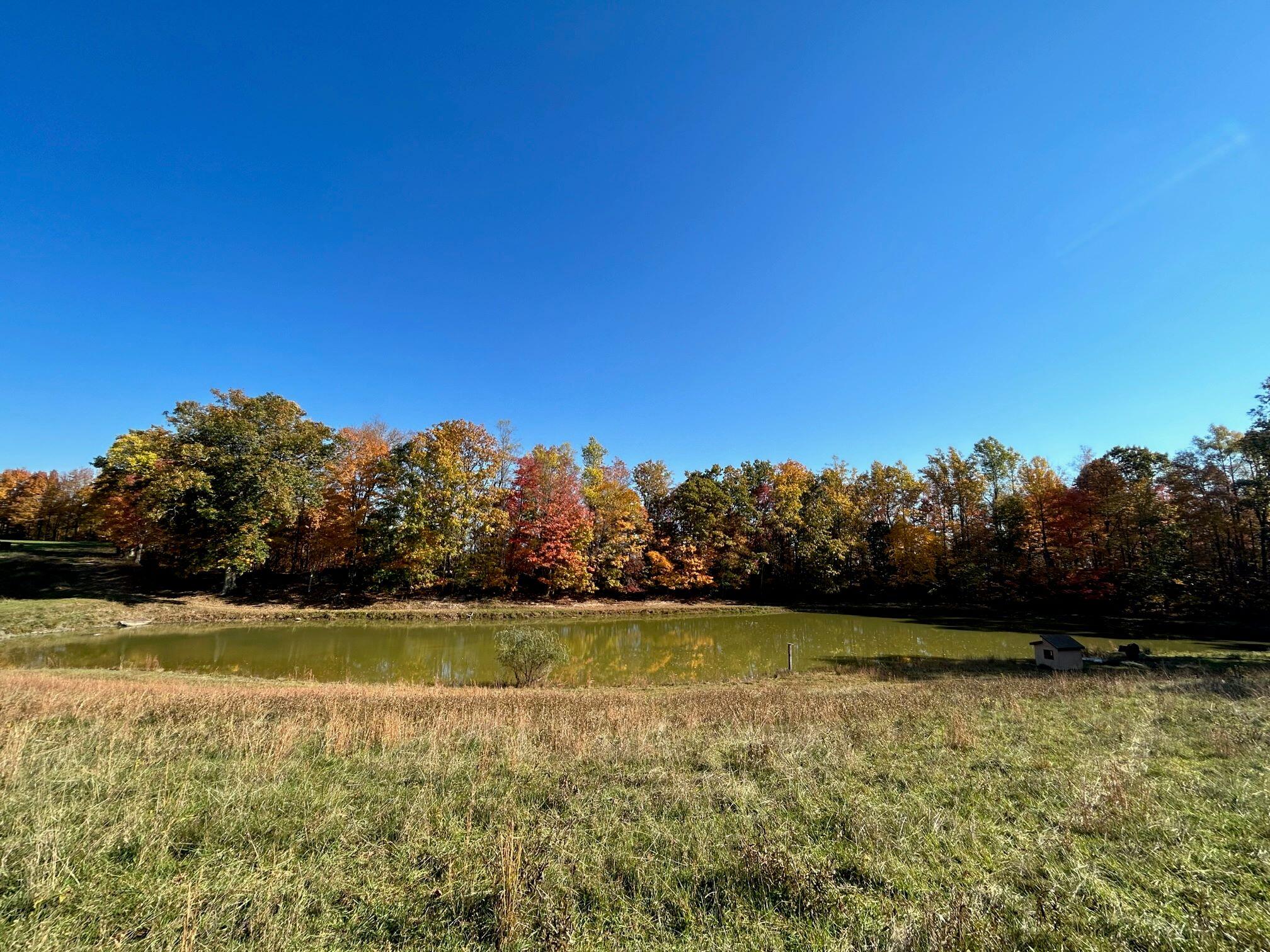 Tract C Judson Rd, Hinton, West Virginia image 15