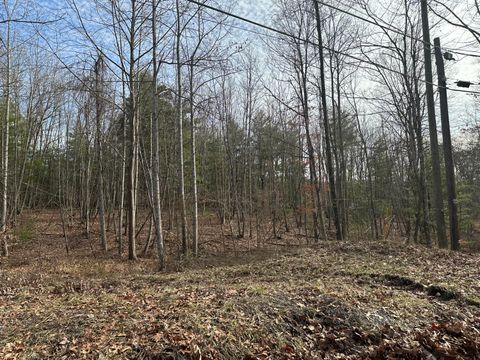 Vacant Land For Sale - LOT 1 & 2 Rt. 1, Muddy Creek Mountain<br/> Alderson, PA 24910