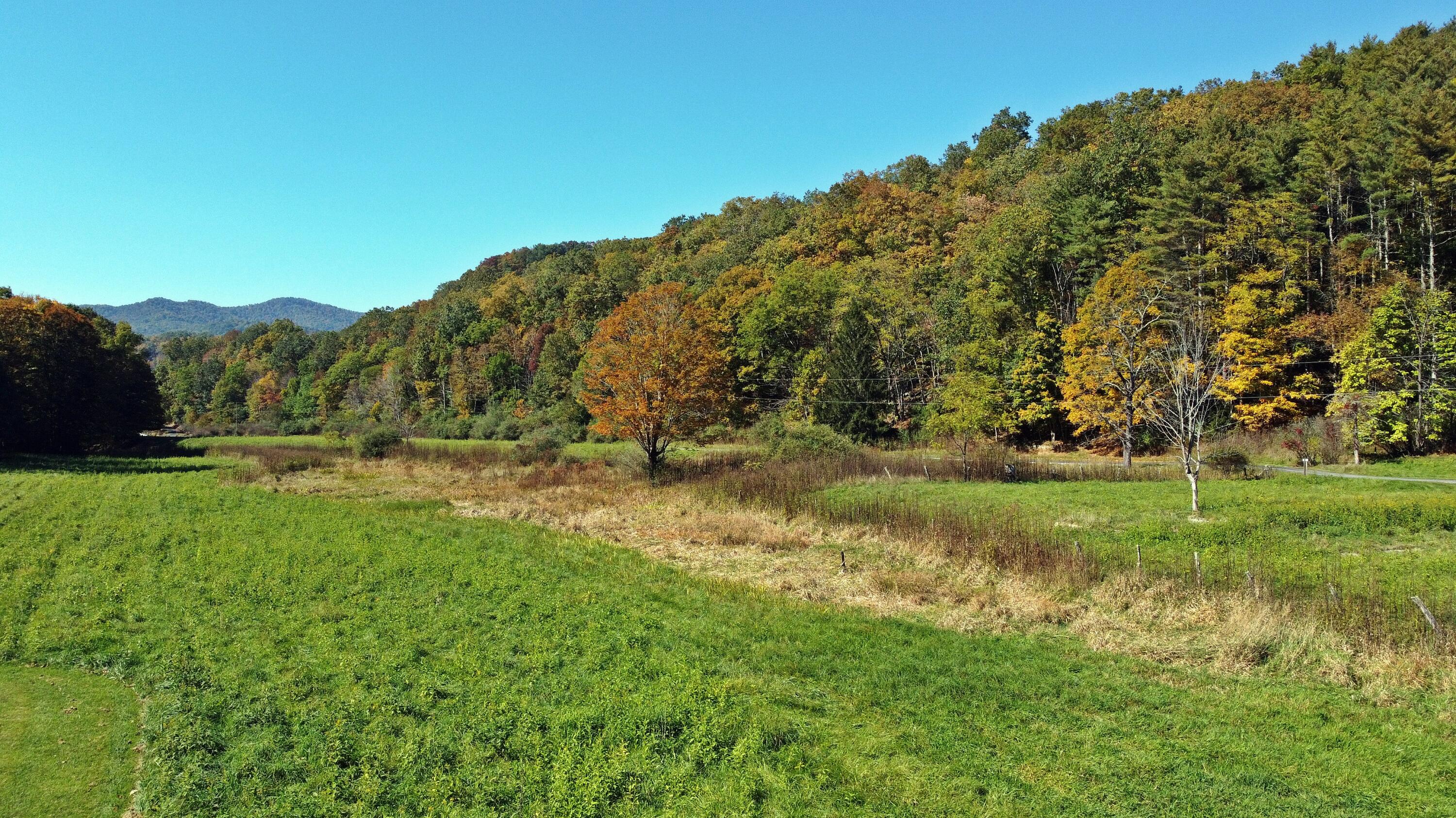 Lots 2&3 Duncans Landing #2, 3, Buckeye, West Virginia image 9