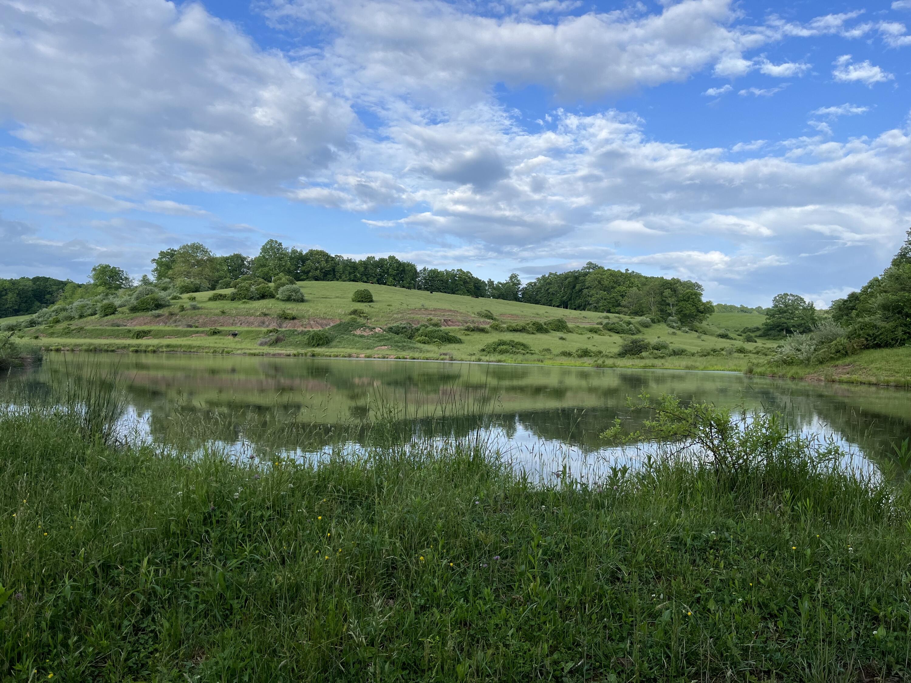 Vago Rd, Frankford, Pennsylvania image 17