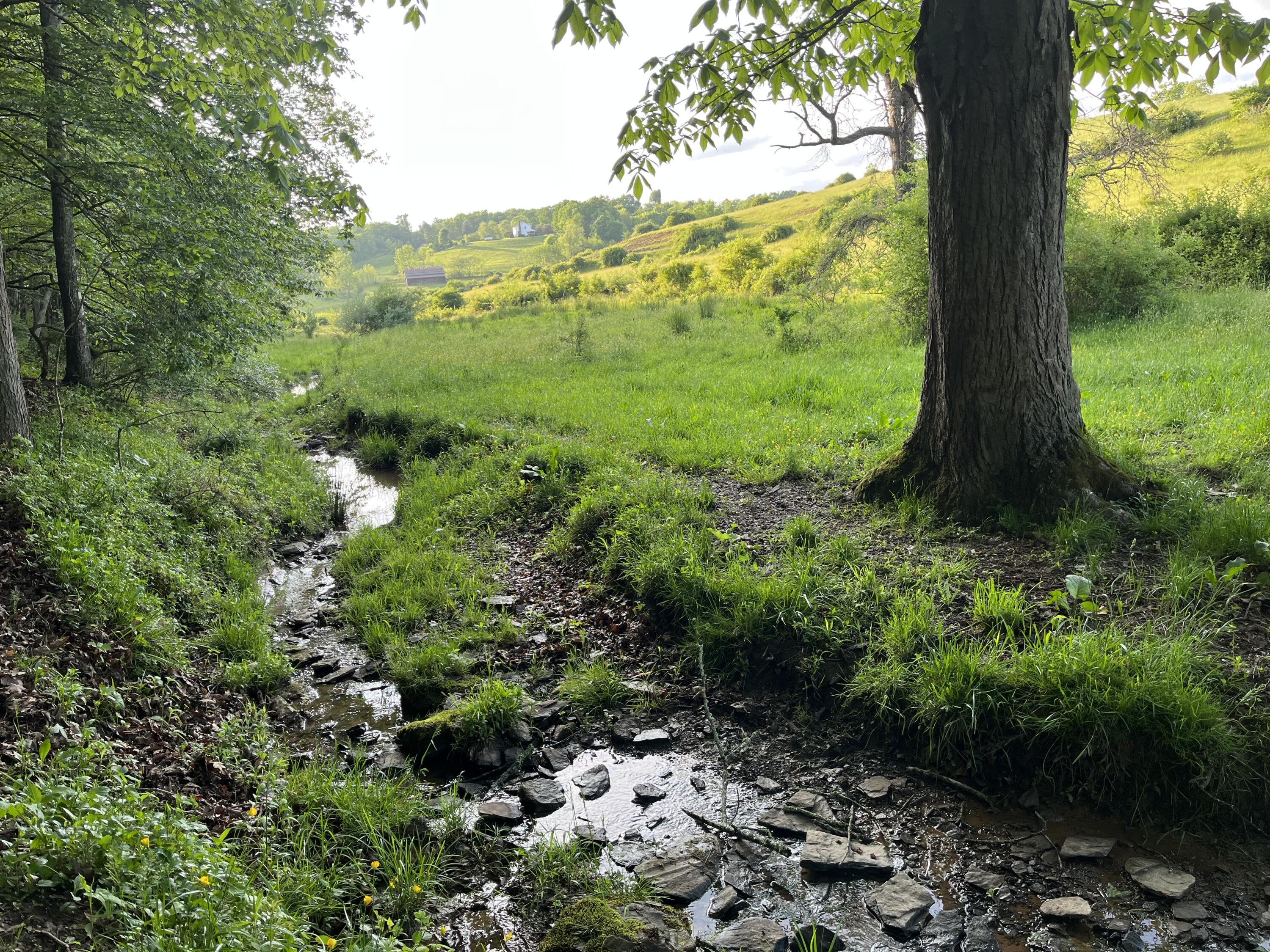 Vago Rd, Frankford, Pennsylvania image 18