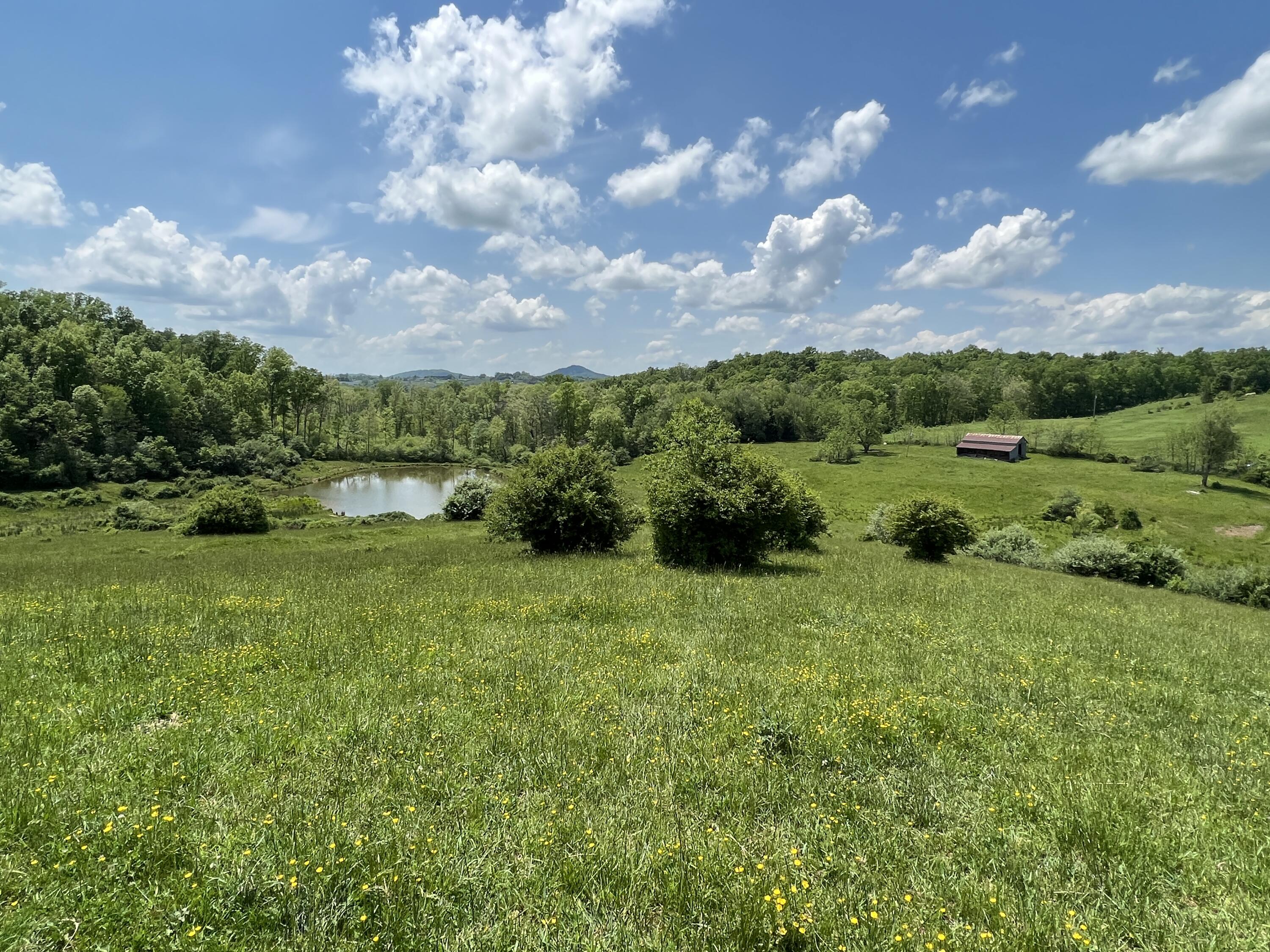 Vago Rd, Frankford, Pennsylvania image 29