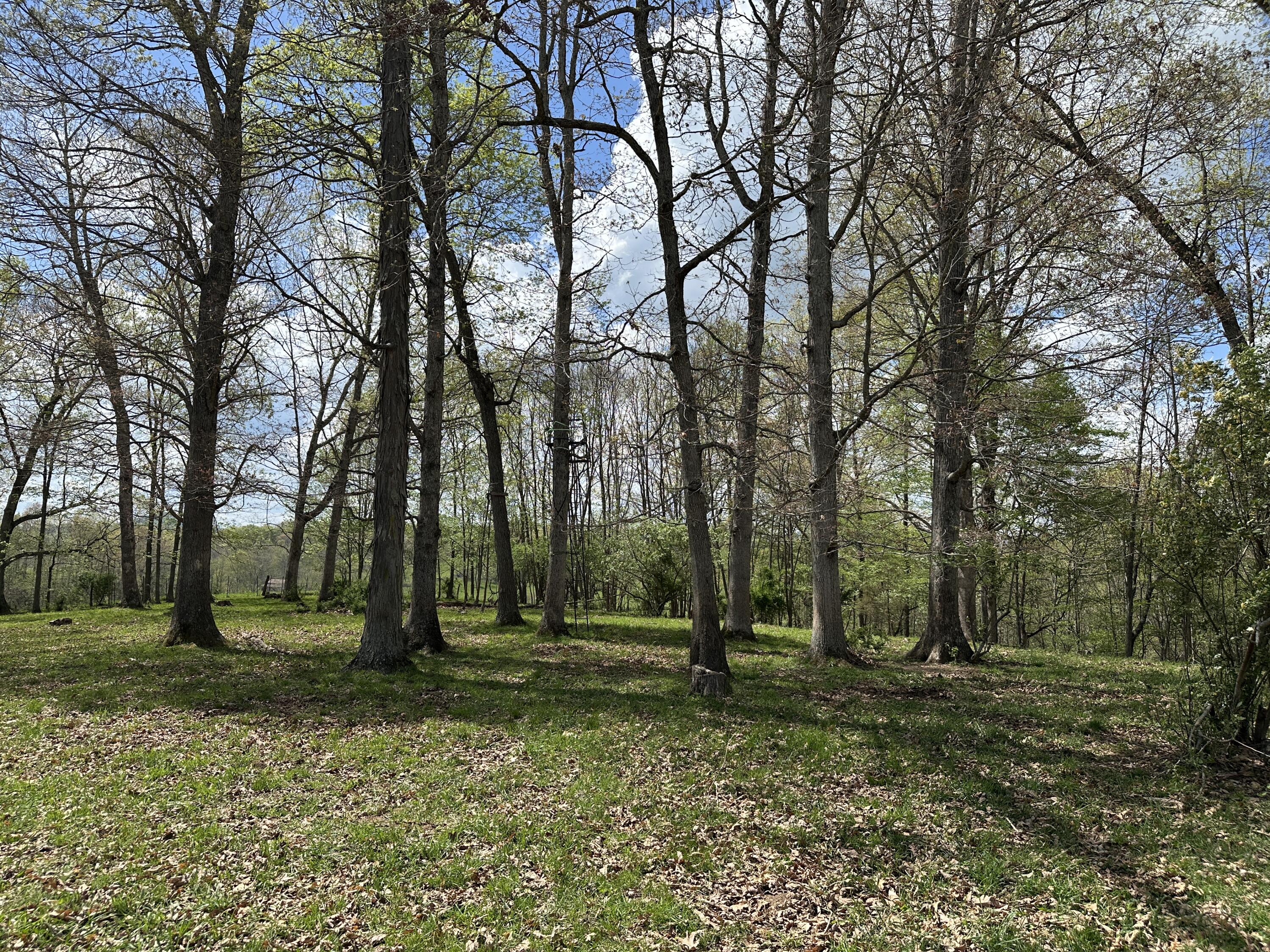 Vago Rd, Frankford, Pennsylvania image 16
