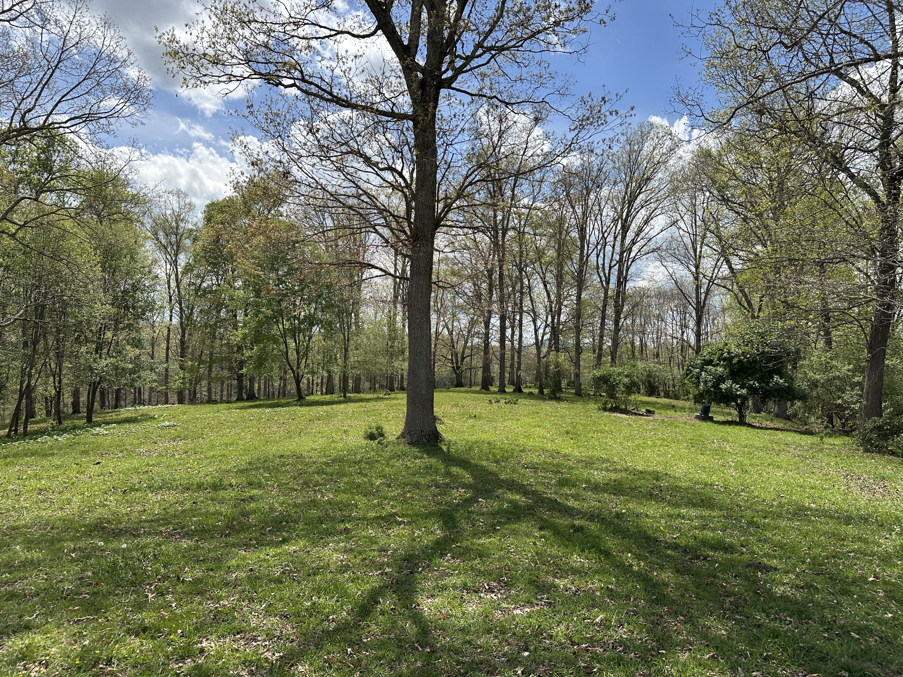Vago Rd, Frankford, Pennsylvania image 15