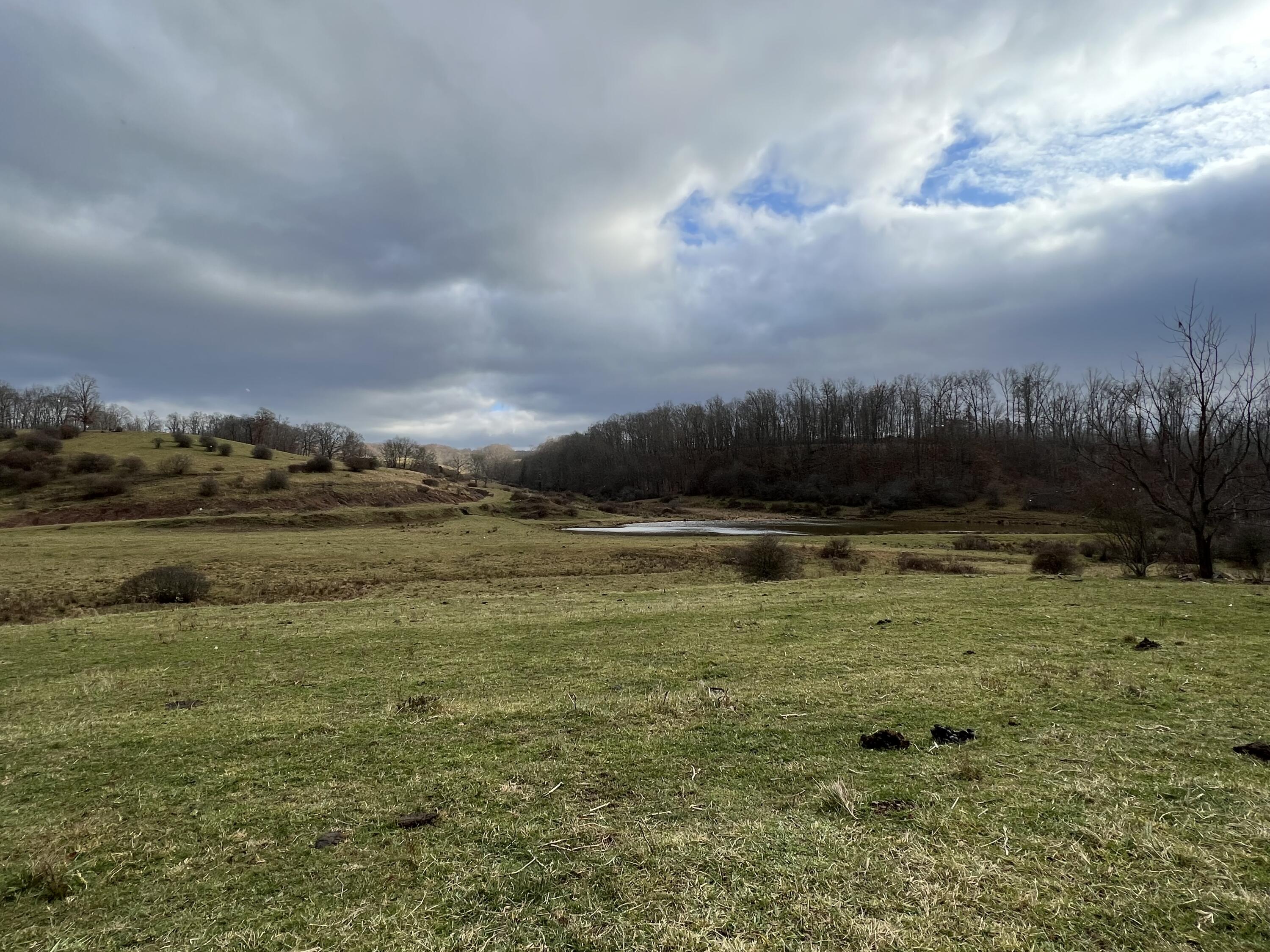 Vago Rd, Frankford, Pennsylvania image 22