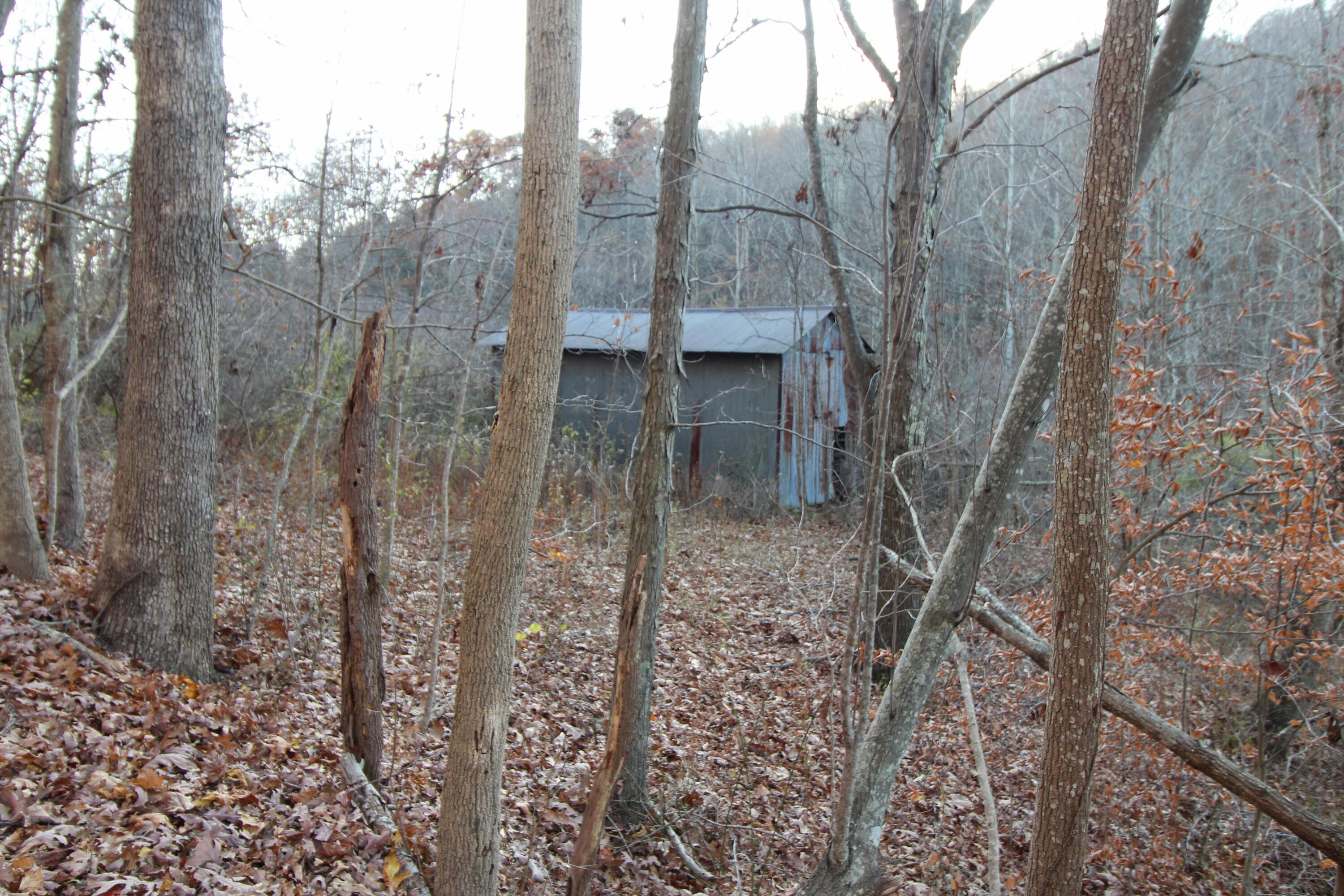 9031 Judson Rd, Hinton, West Virginia image 12