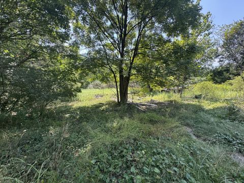 Vacant Land For Sale - 425 Crosier Rd<br/> Greenbrier County, Rainelle, WV 25962