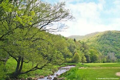 26 Hawthorne Valley #62, Snowshoe, West Virginia image 3