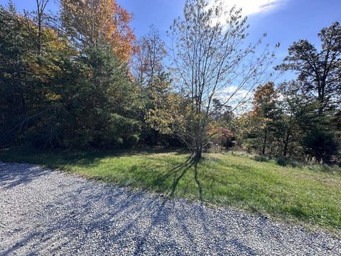 Vacant Land For Sale - LOT 52 Bee Tree Ln<br/> Peterstown, WV 24963
