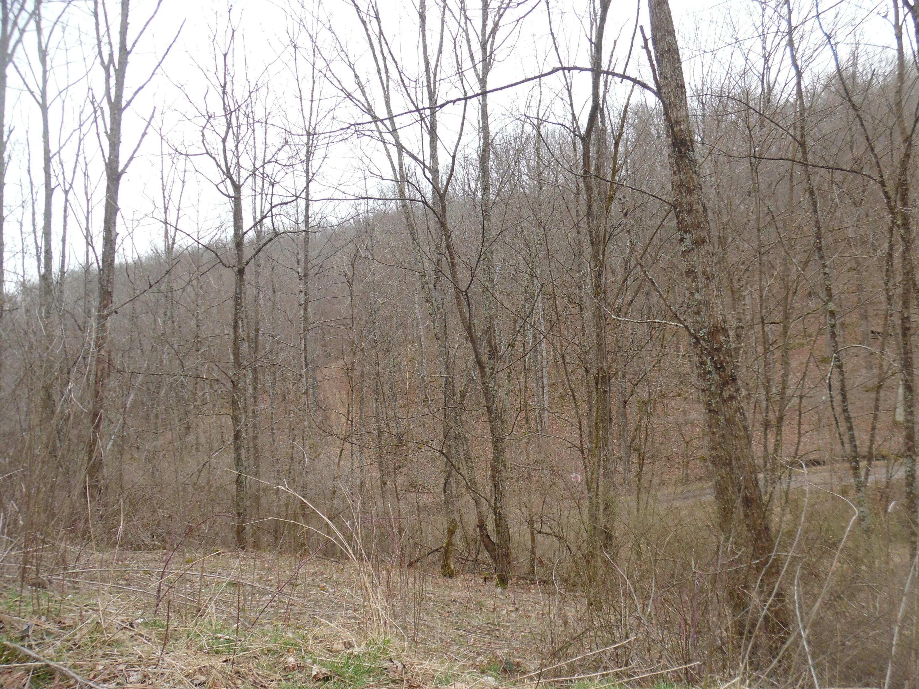 300 Little Mountain Drive #LOT C-2, Hillsboro, West Virginia image 6