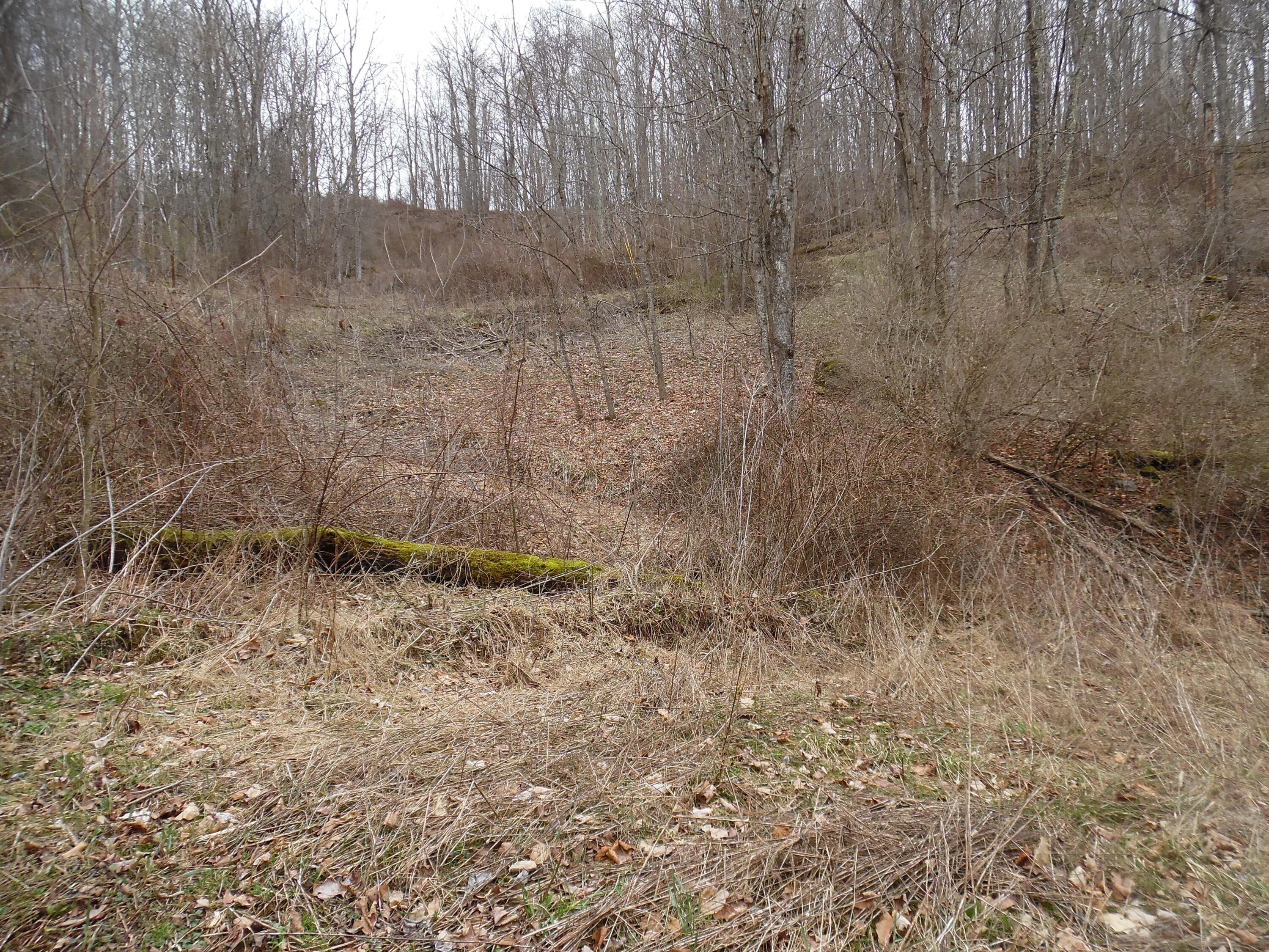 300 Little Mountain Drive #LOT C-2, Hillsboro, West Virginia image 9