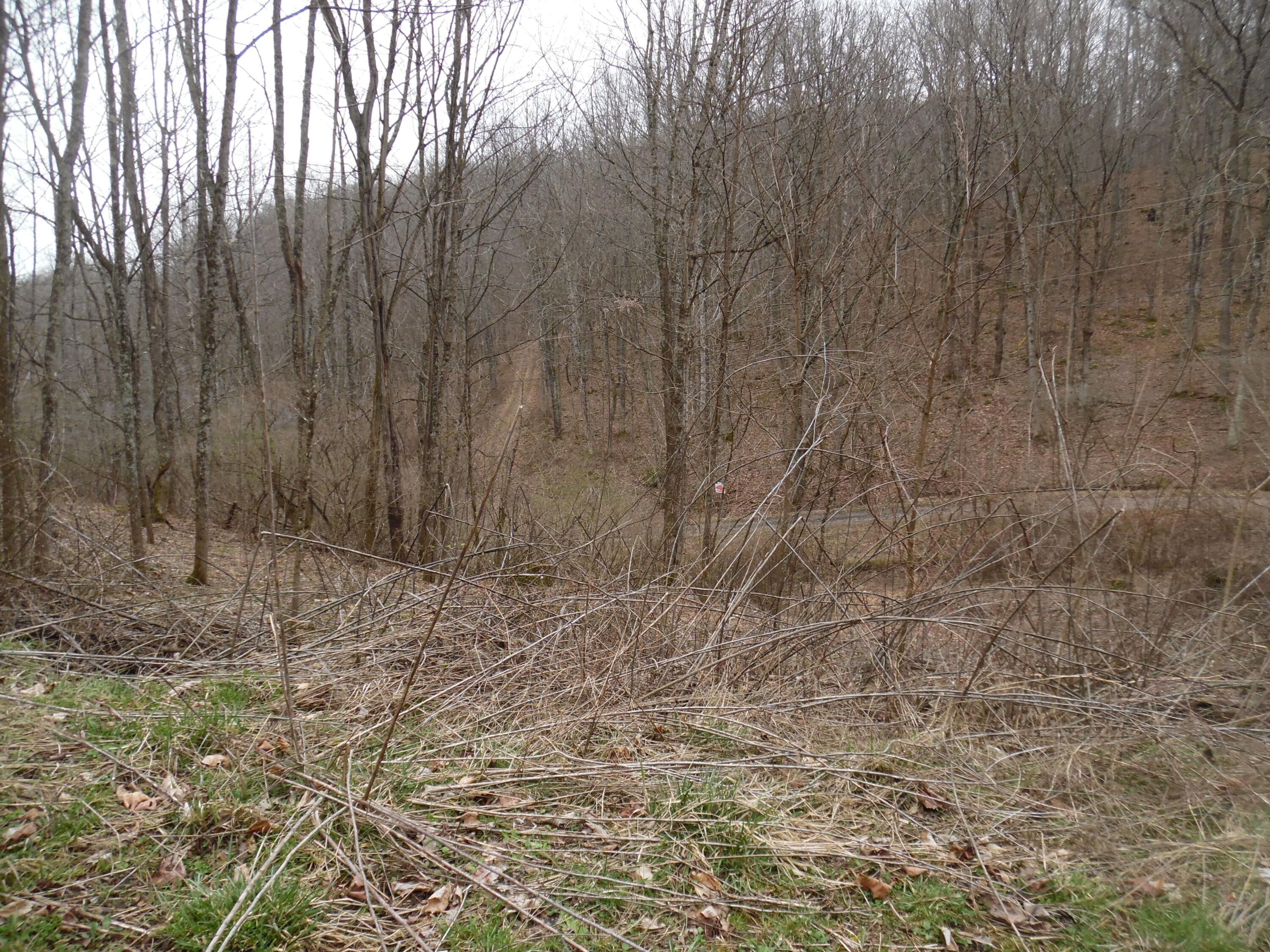 300 Little Mountain Drive #LOT C-2, Hillsboro, West Virginia image 4