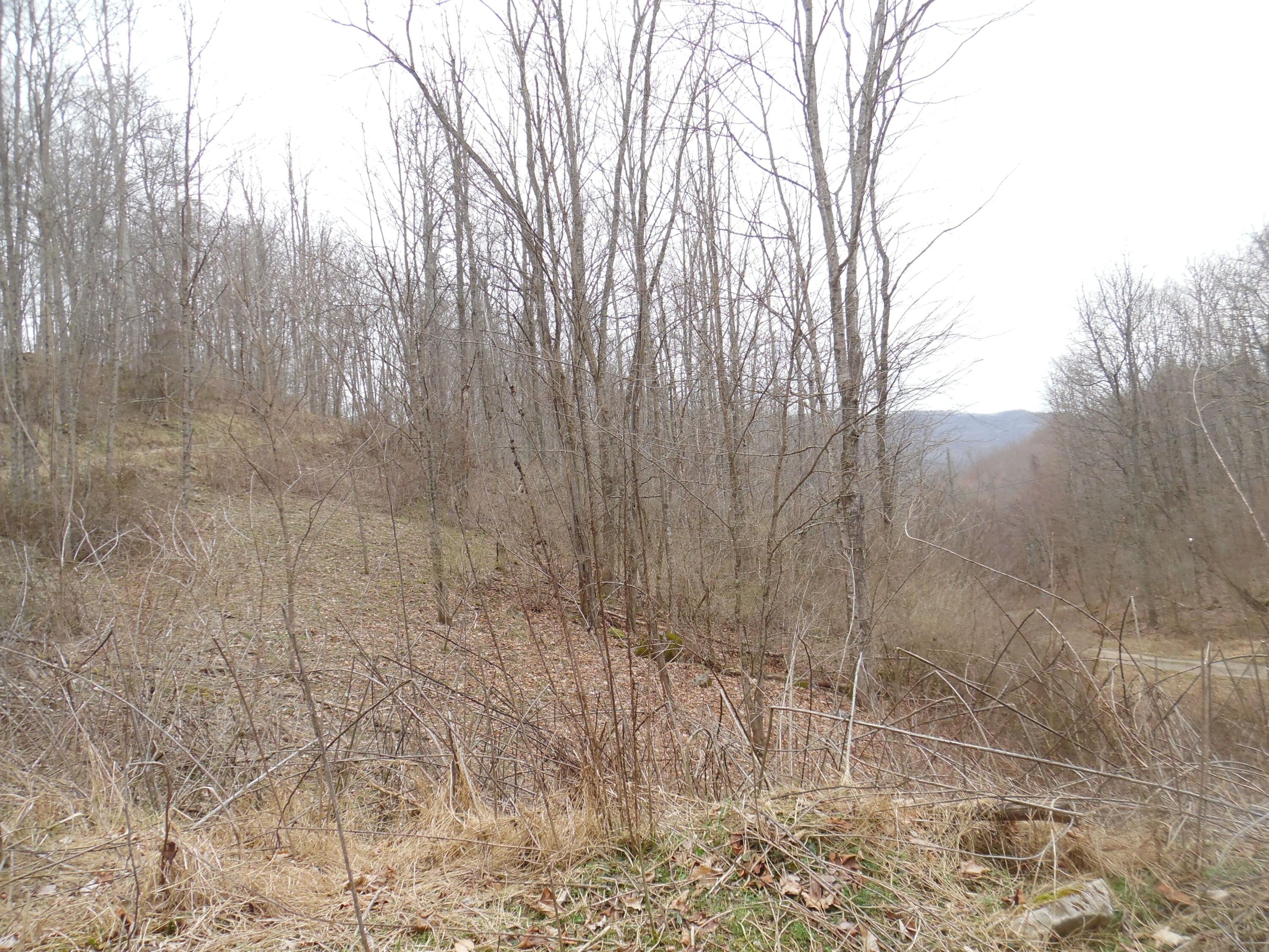 300 Little Mountain Drive #LOT C-2, Hillsboro, West Virginia image 8