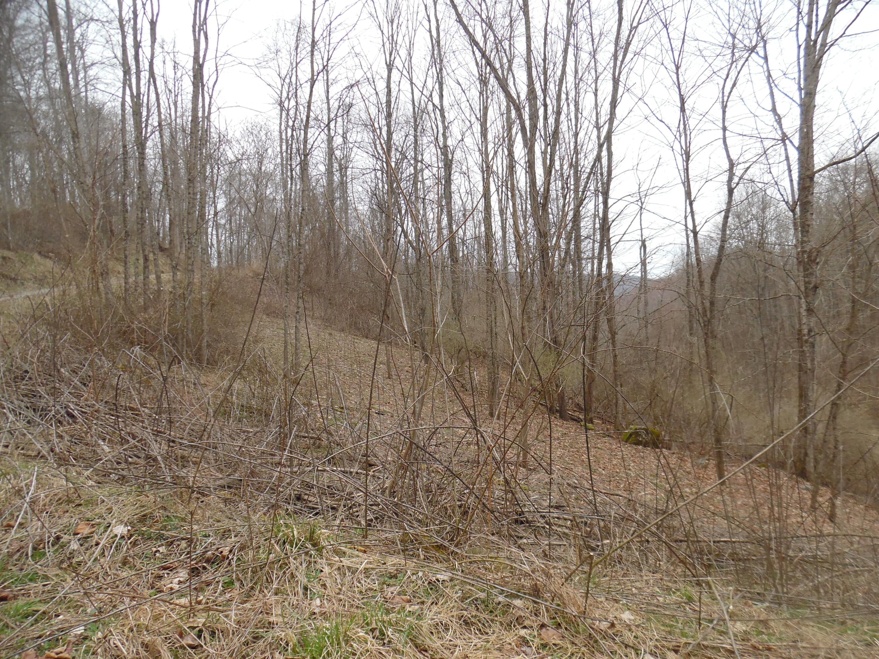 300 Little Mountain Drive #LOT C-2, Hillsboro, West Virginia image 5