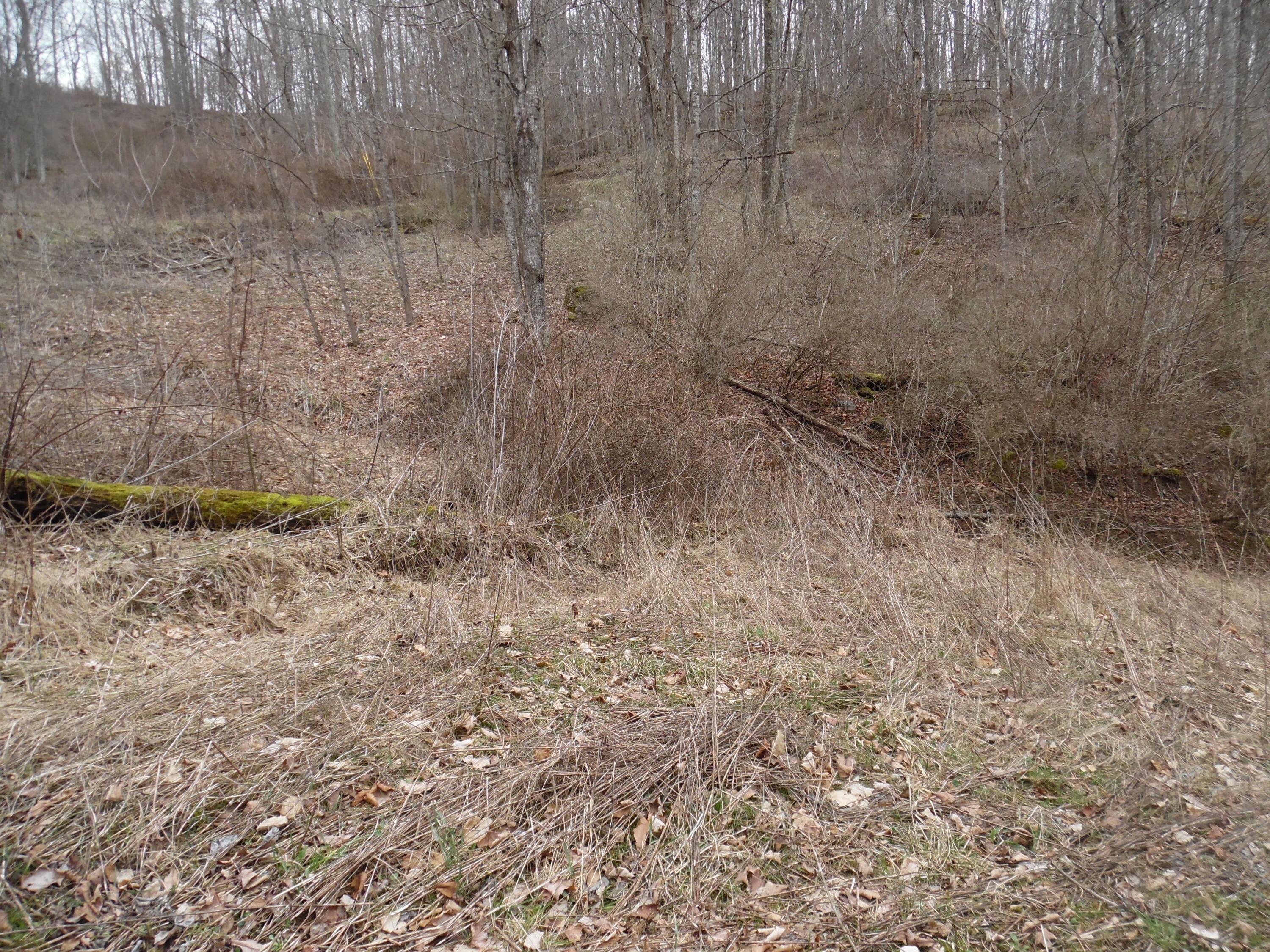 300 Little Mountain Drive #LOT C-2, Hillsboro, West Virginia image 3