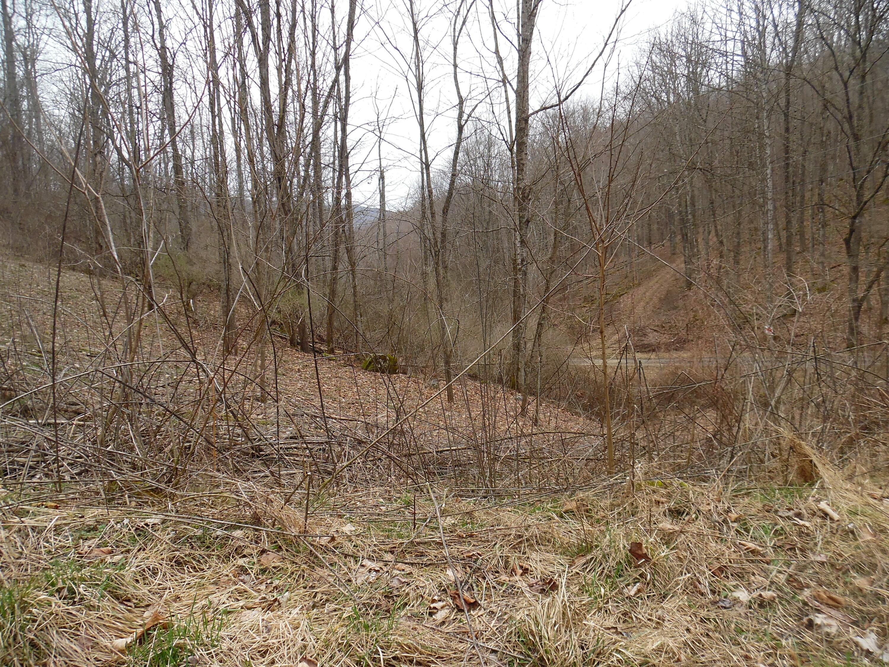 300 Little Mountain Drive #LOT C-2, Hillsboro, West Virginia image 2