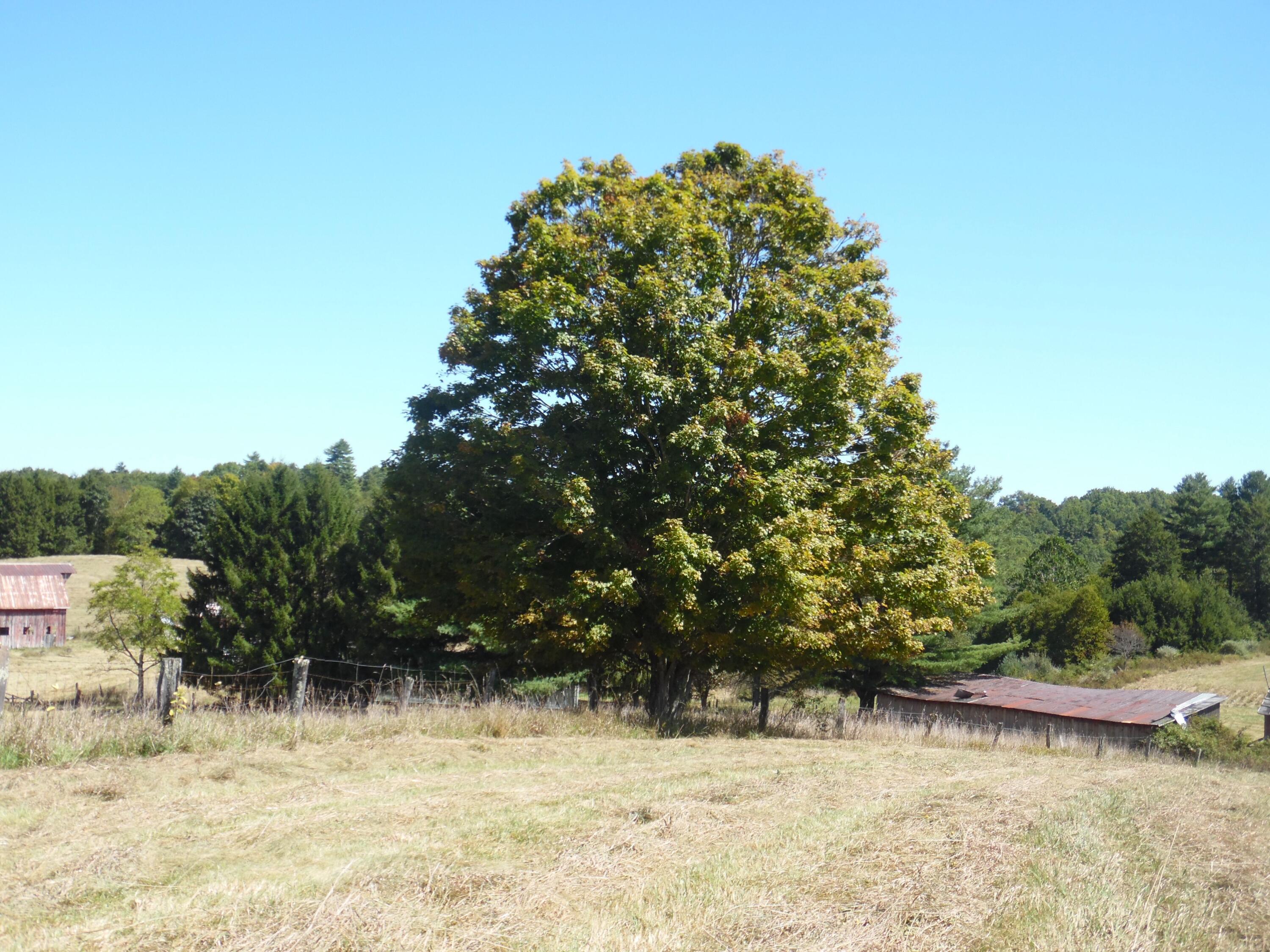 7 The Pines Drive, Marlinton, West Virginia image 8