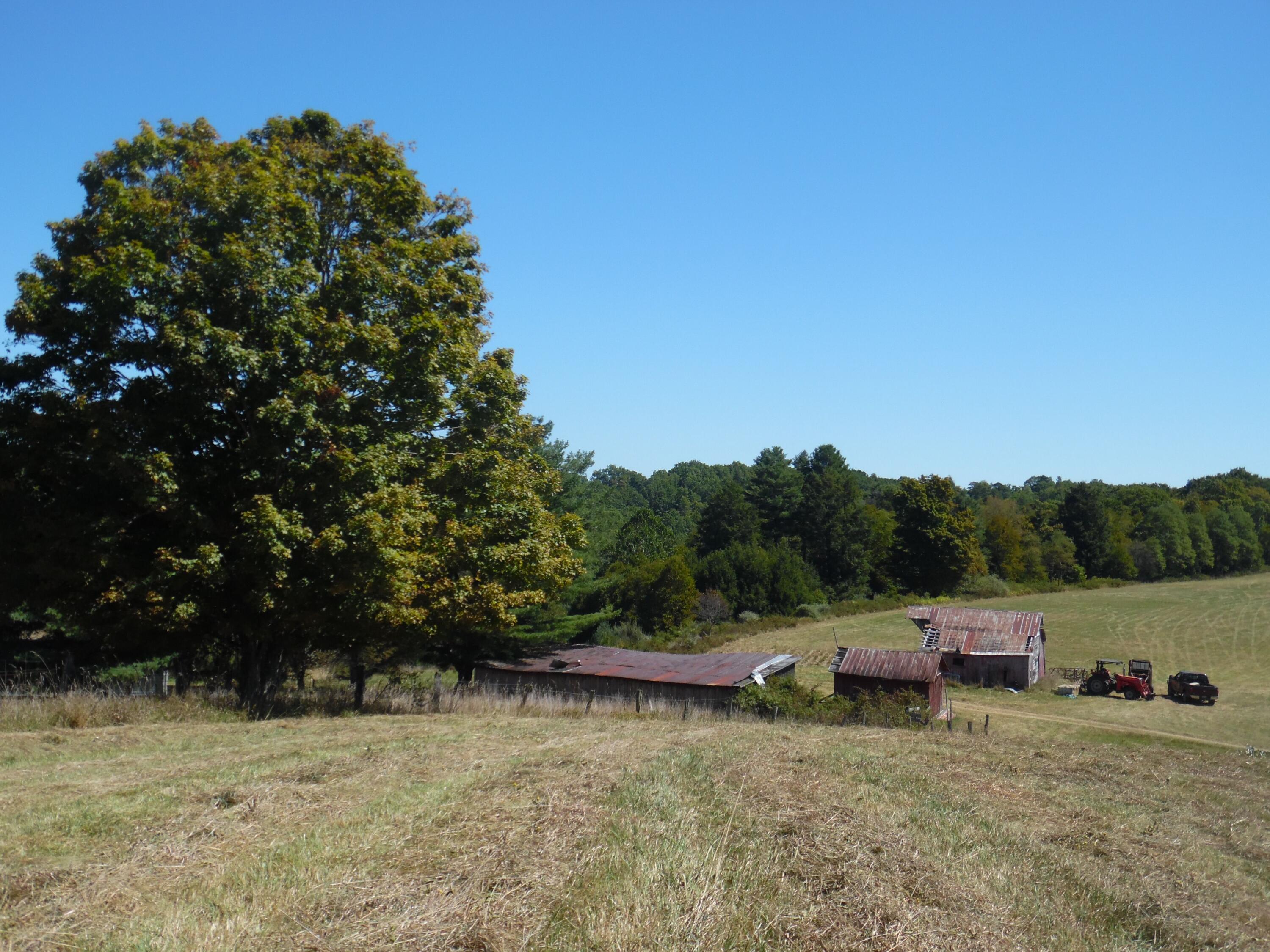 7 The Pines Drive, Marlinton, West Virginia image 9