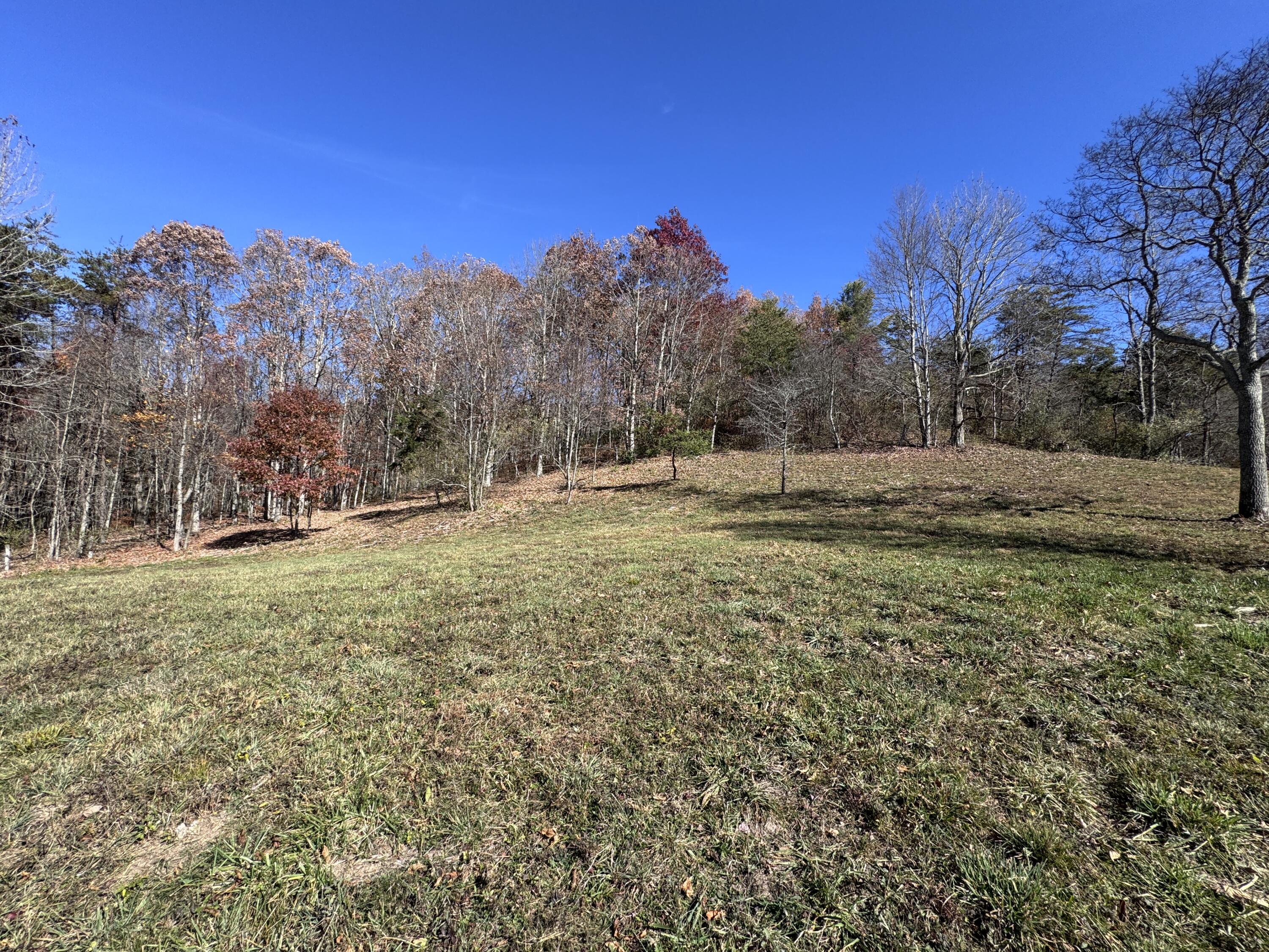 Cold Hollow Rd, Rainelle, West Virginia image 7