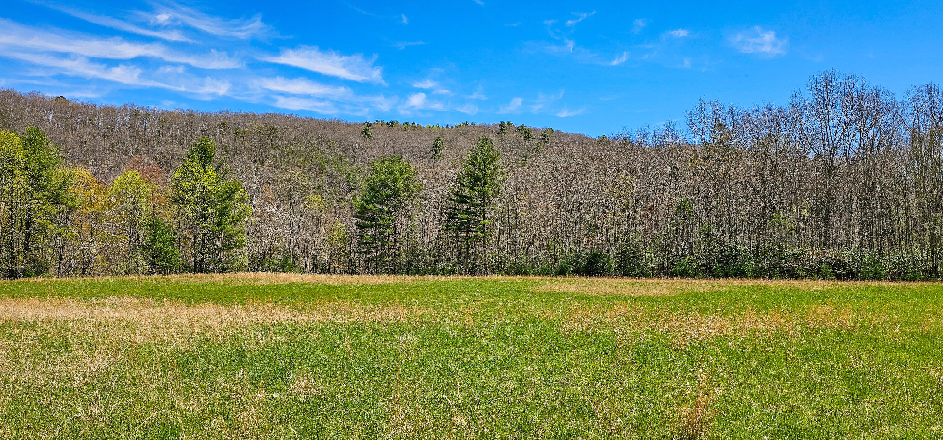 Edray Rd, Cass, West Virginia image 36