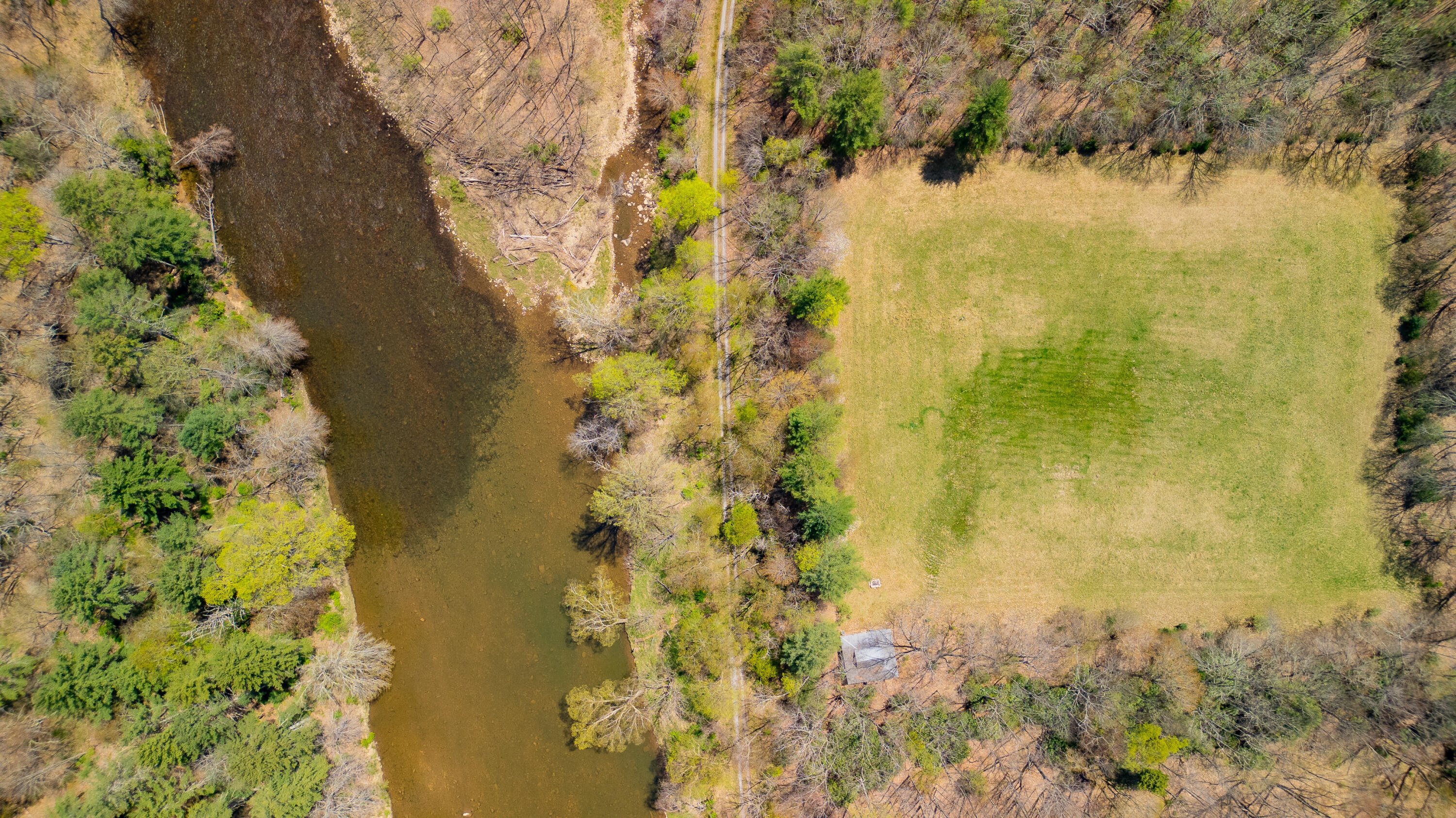 Edray Rd, Cass, West Virginia image 17