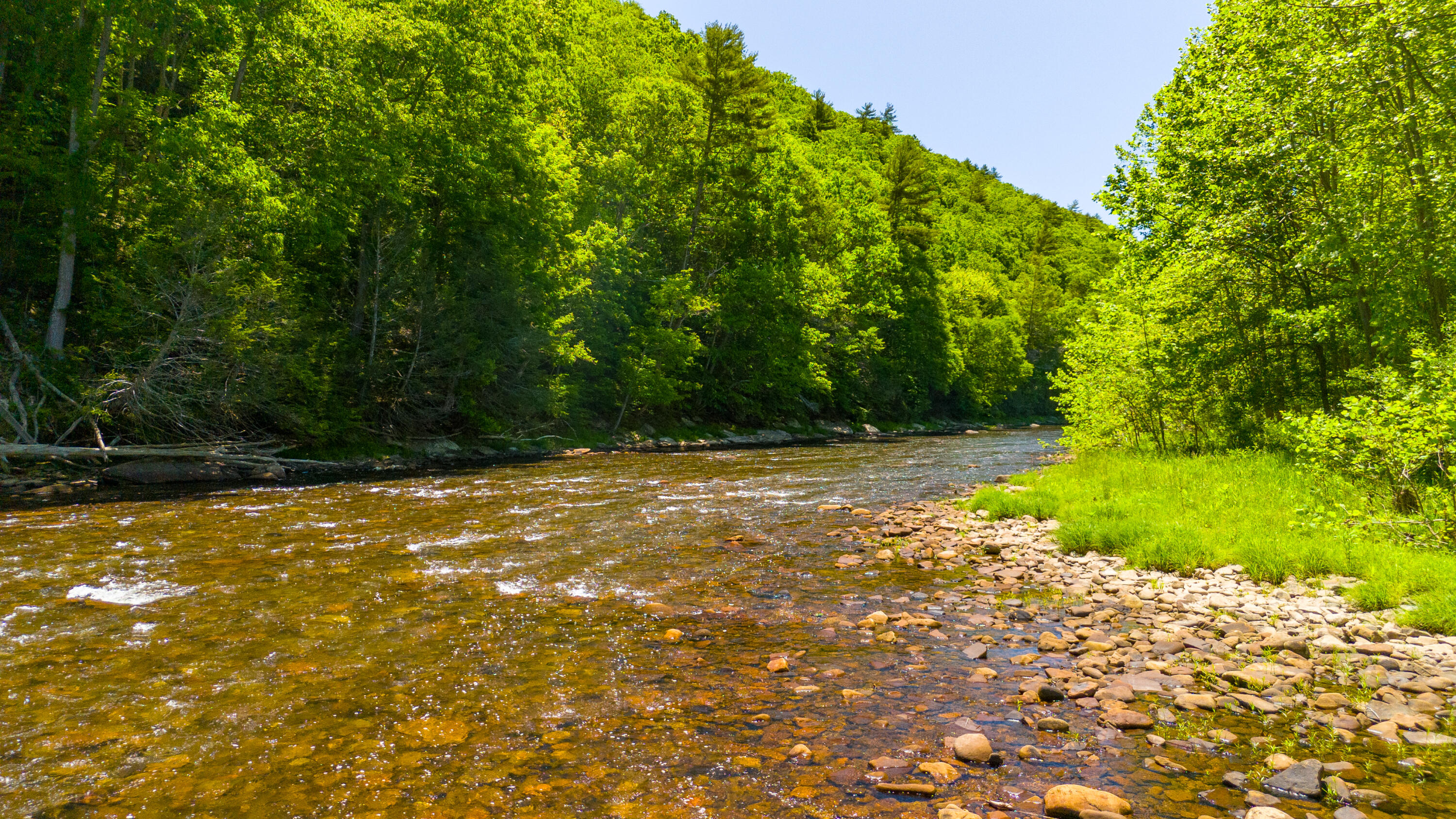 Edray Rd, Cass, West Virginia image 4