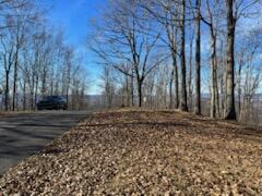 Lot 80 White Rock Trl #80, Caldwell, West Virginia image 9