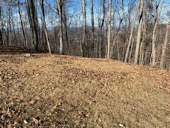 Lot 80 White Rock Trl #80, Caldwell, West Virginia image 10