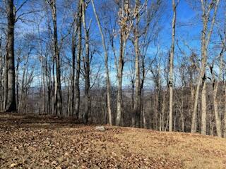 Lot 80 White Rock Trl #80, Caldwell, West Virginia image 5