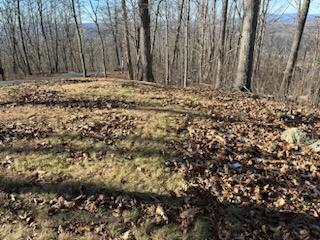 Lot 80 White Rock Trl #80, Caldwell, West Virginia image 3