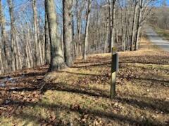 Lot 80 White Rock Trl #80, Caldwell, West Virginia image 8