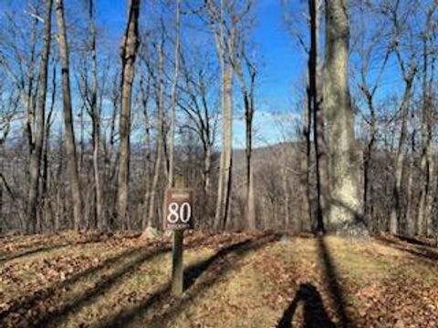 Vacant Land For Sale - LOT 80 White Rock Trl<br/> Greenbrier County, Caldwell, WV 24986