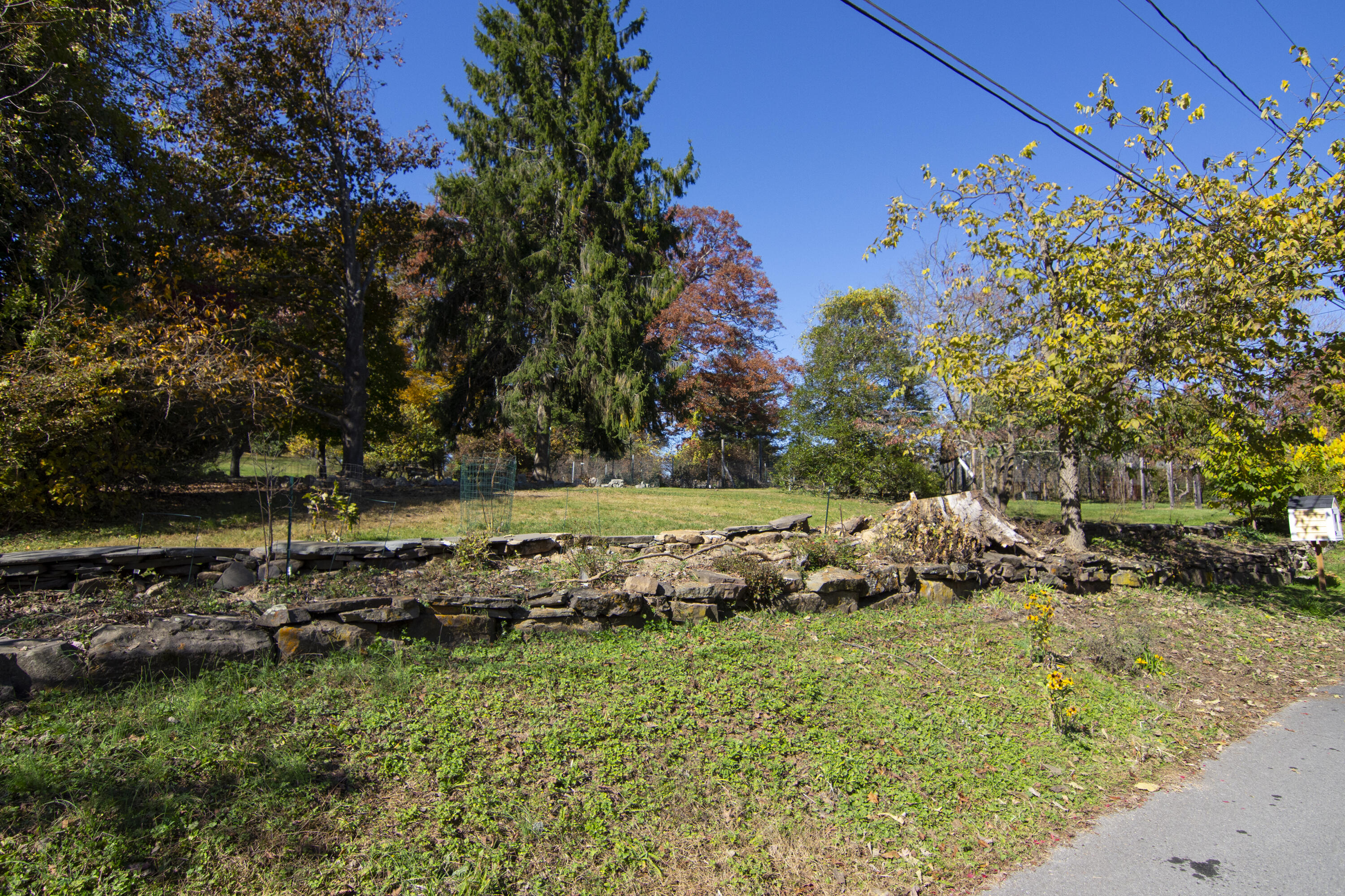 152 Harris St, Lewisburg, Pennsylvania image 35