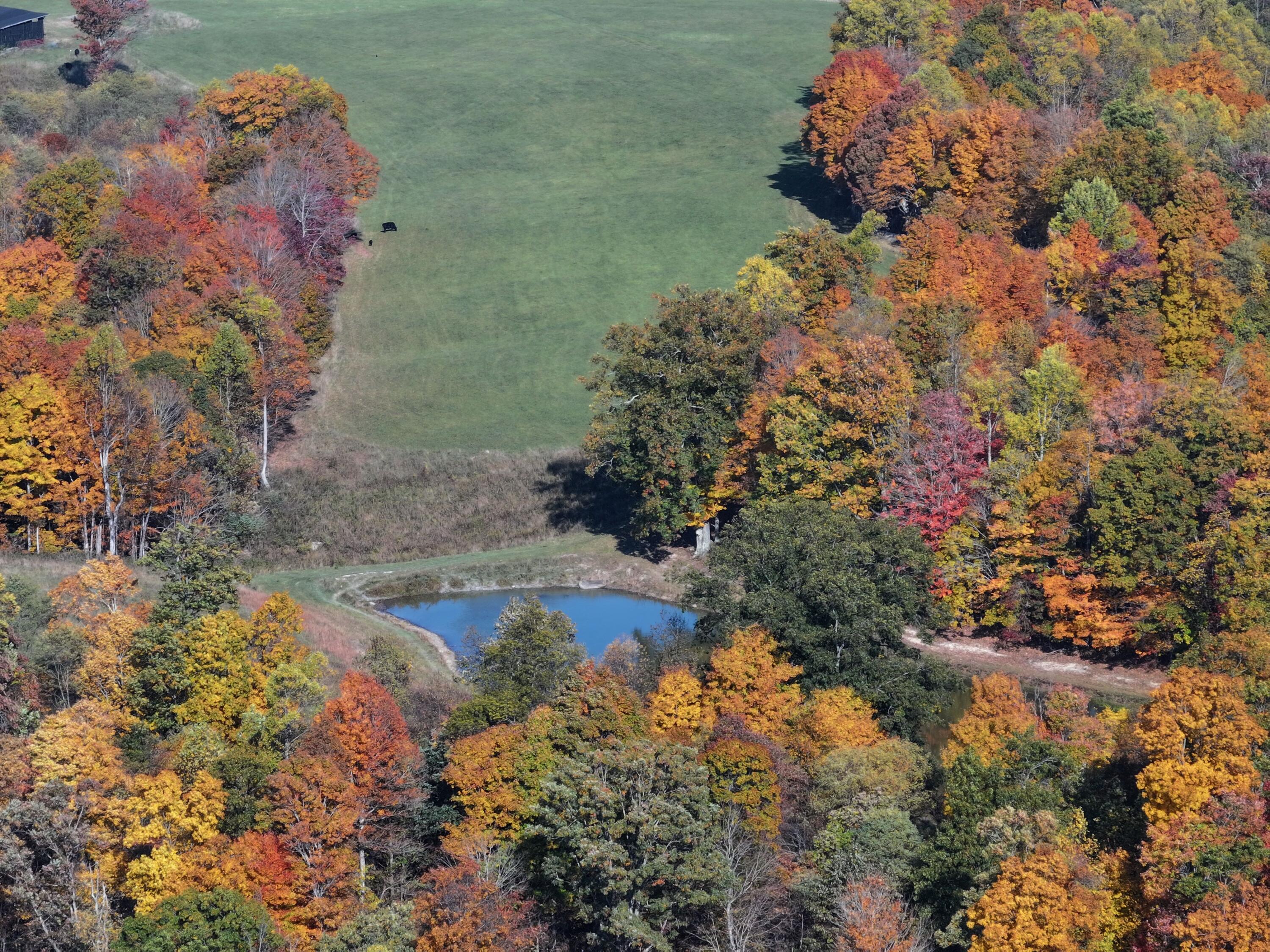 Tract A Judson Rd, Hinton, West Virginia image 22