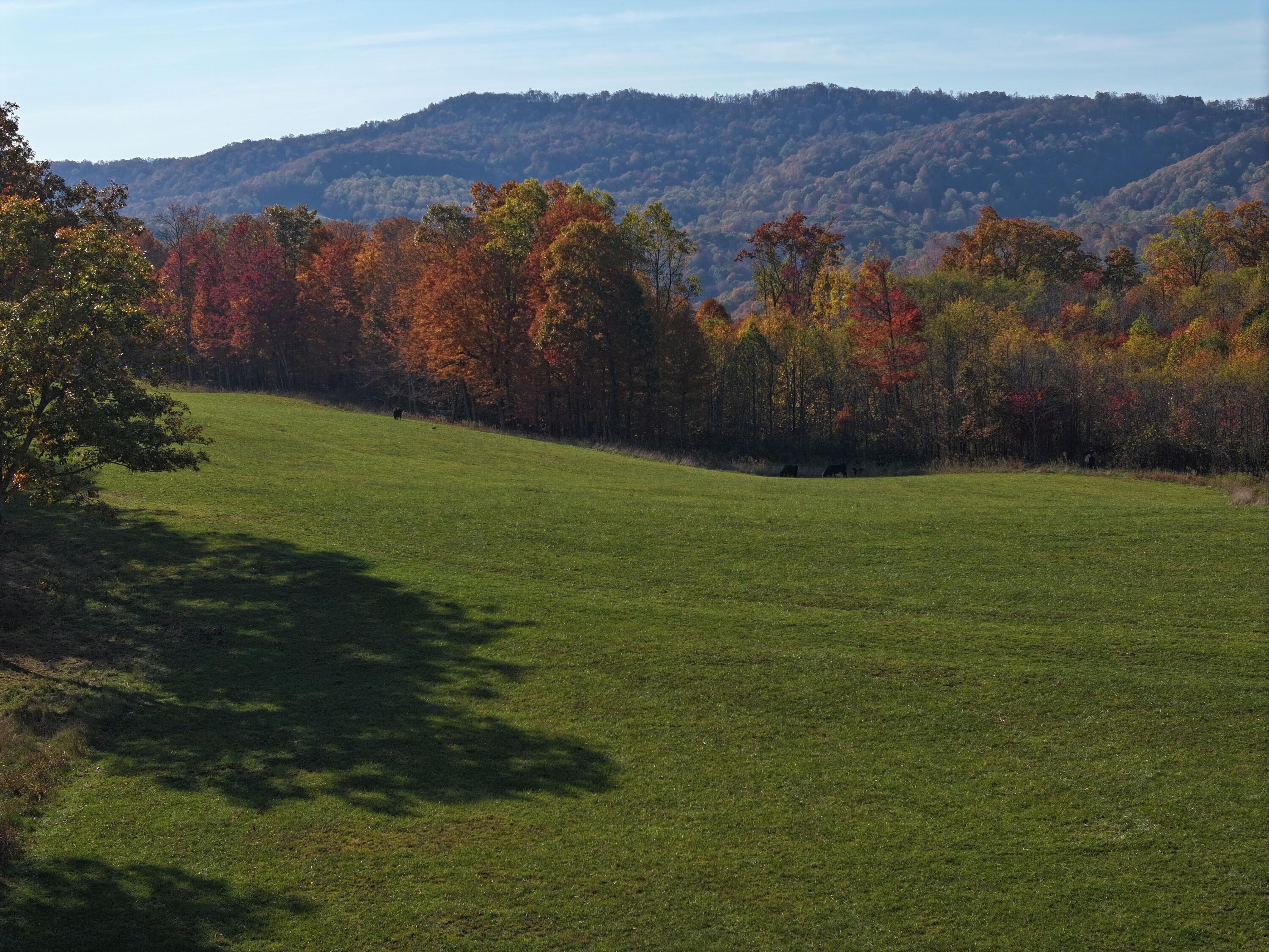 Tract A Judson Rd, Hinton, West Virginia image 18