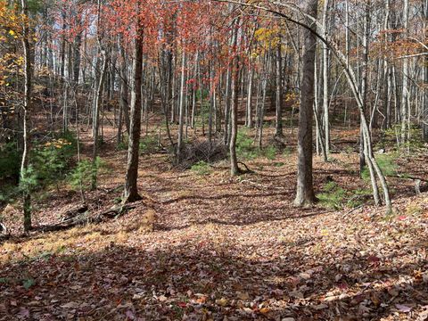 Vacant Land For Sale - Hollywood Glace Road<br/> Union, WV 24983
