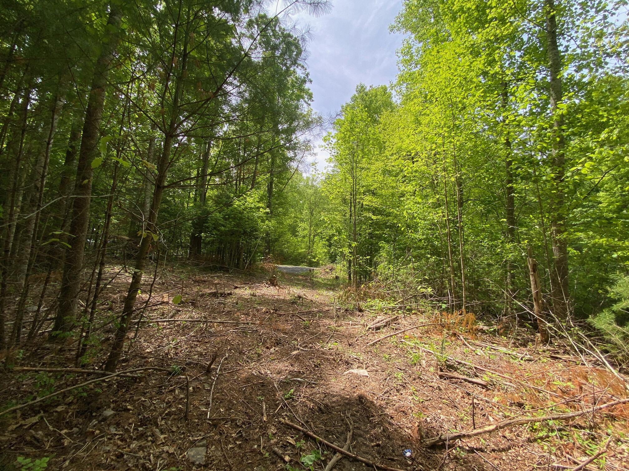 Lot 68 Underwood Ln #68, Gap Mills, West Virginia image 10