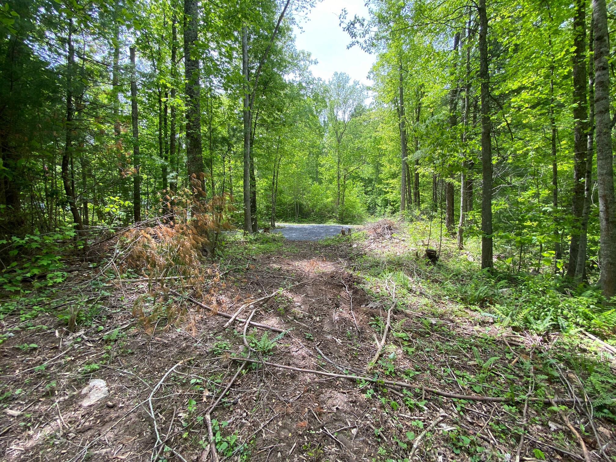 Lot 68 Underwood Ln #68, Gap Mills, West Virginia image 11